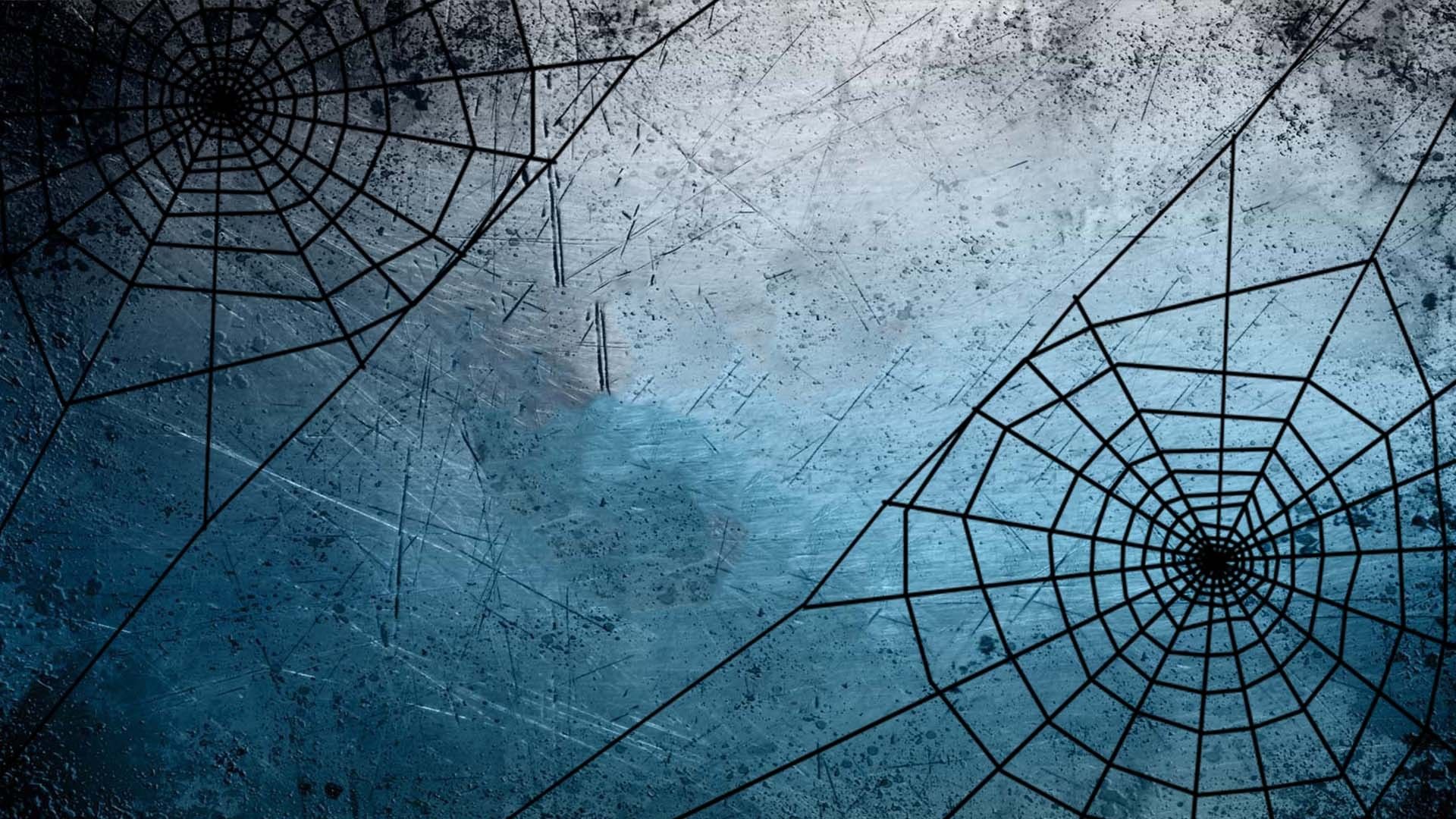 Spider Web Wallpapers