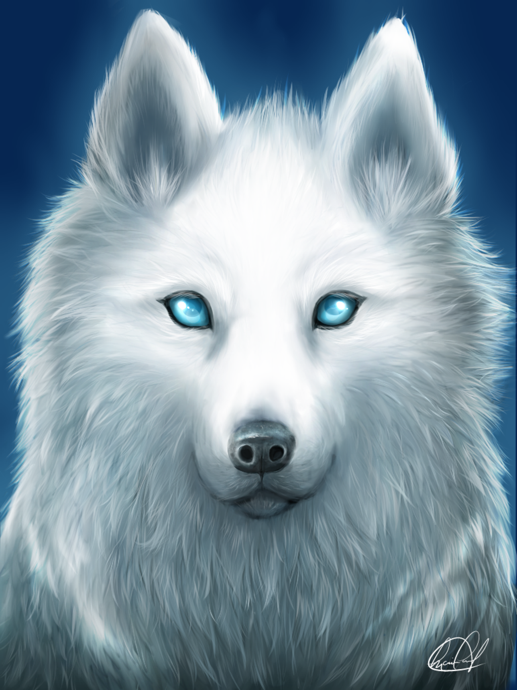 Spirit Beautiful Wolf Wallpapers