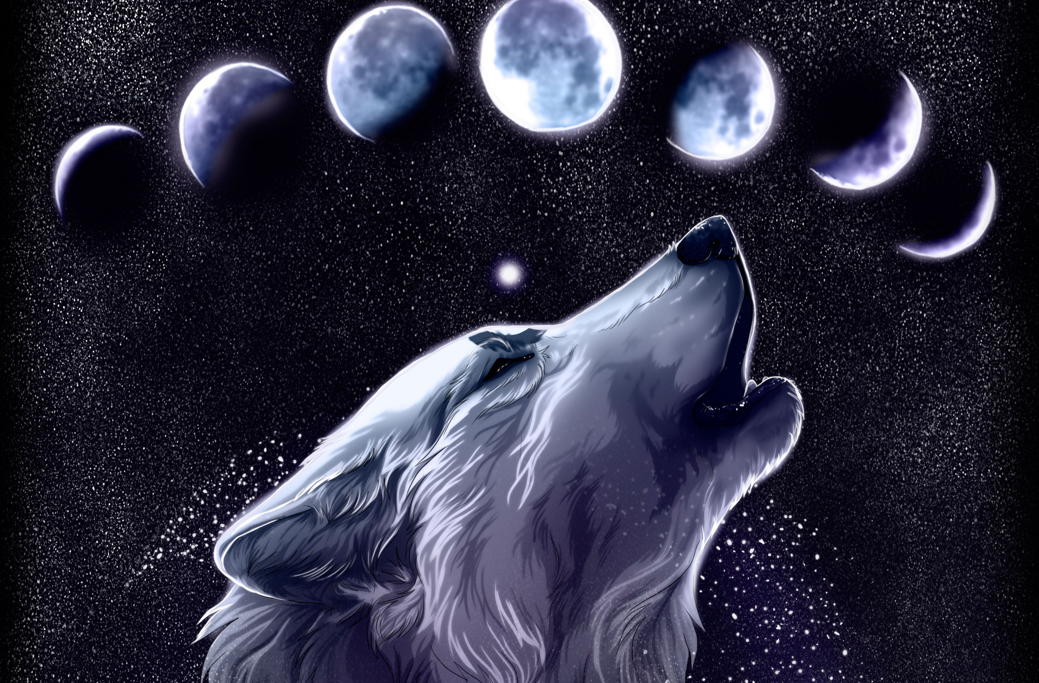 Spirit Beautiful Wolf Wallpapers