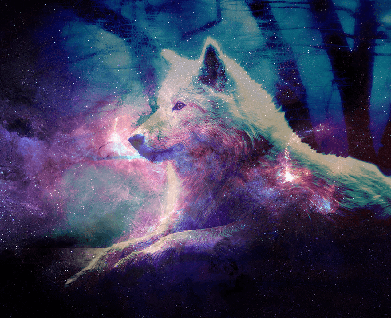 Spirit Galaxy Wolves Wallpapers