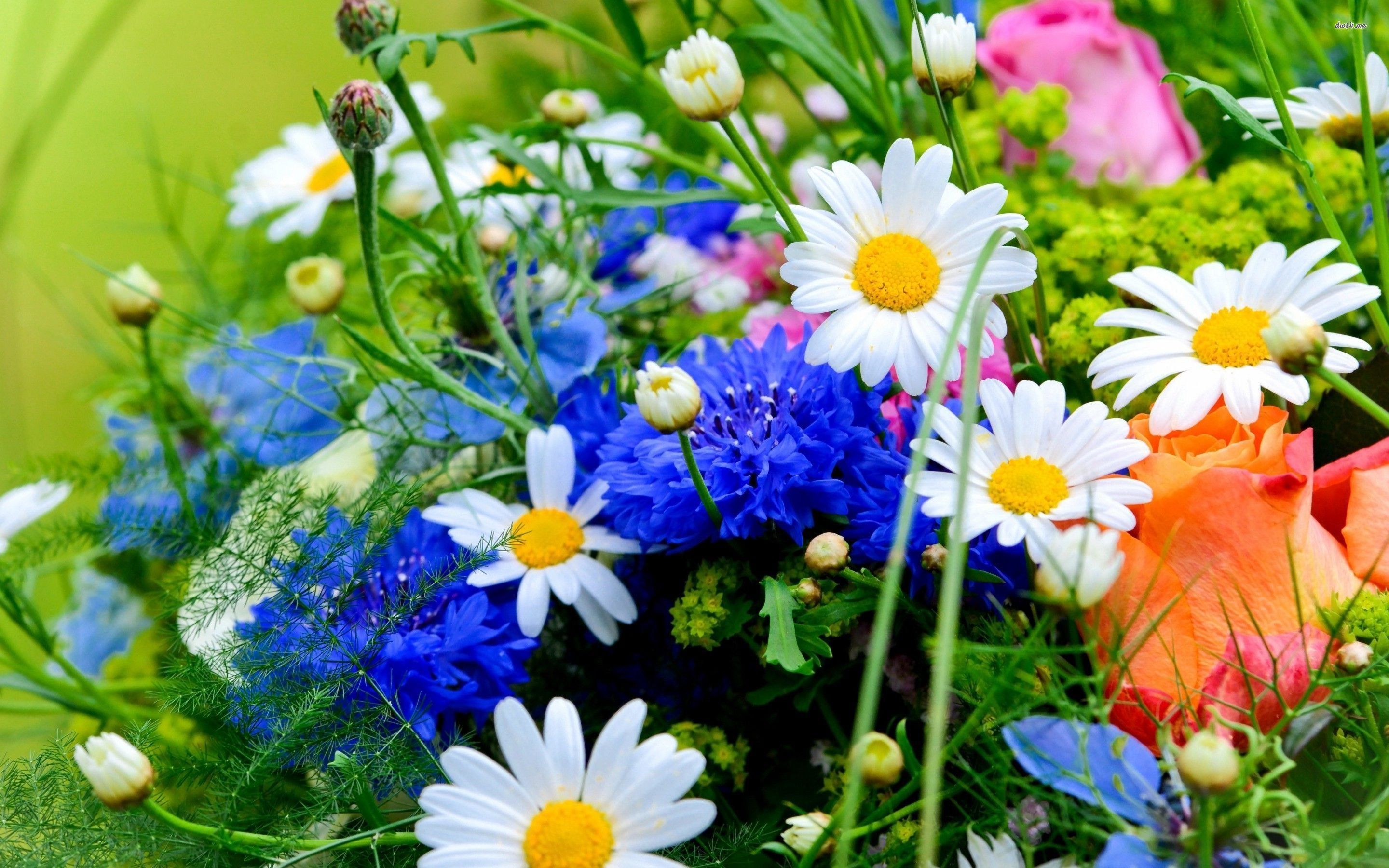 Spring Bouquets Images Wallpapers