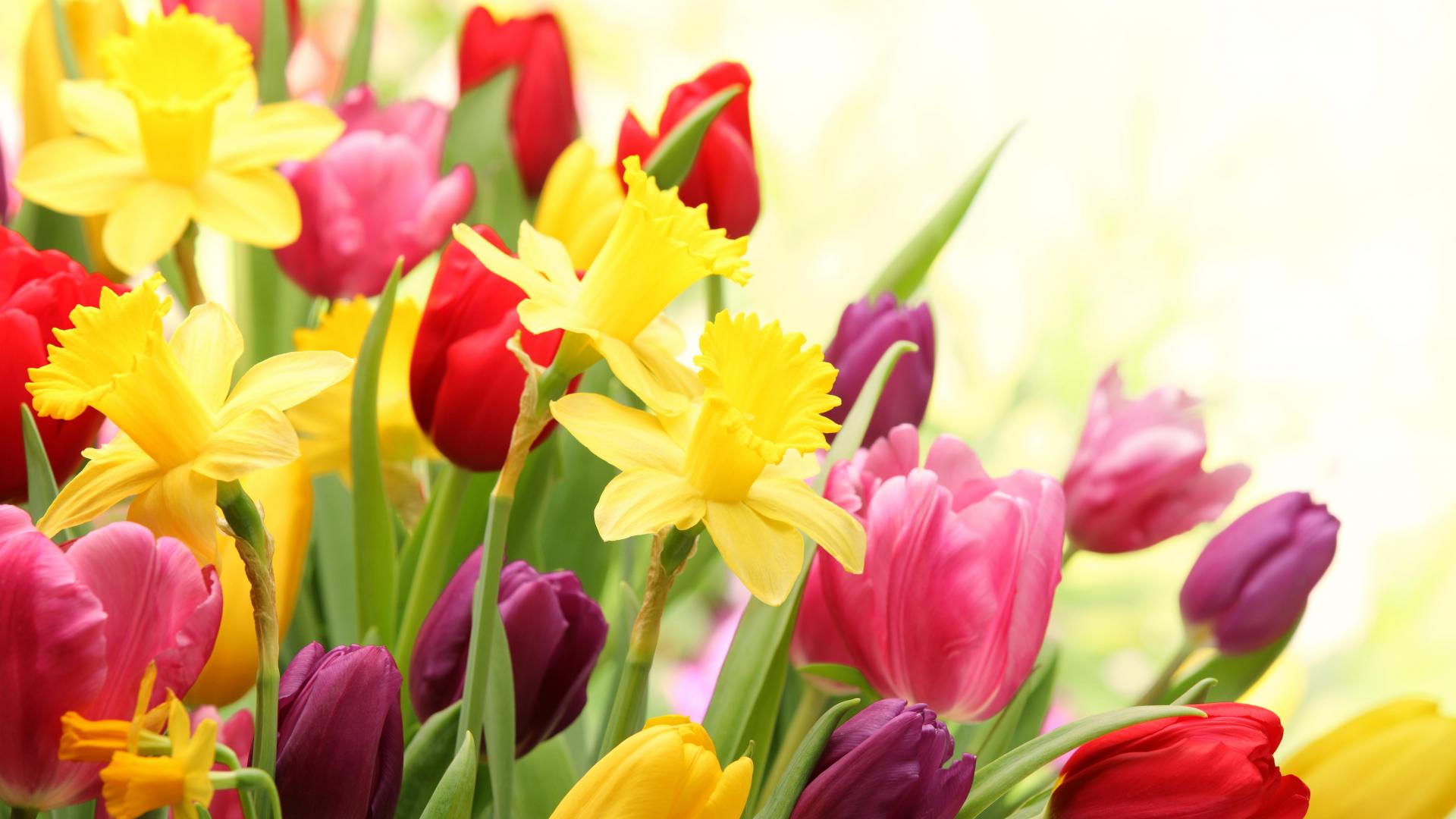 Spring Bouquets Images Wallpapers