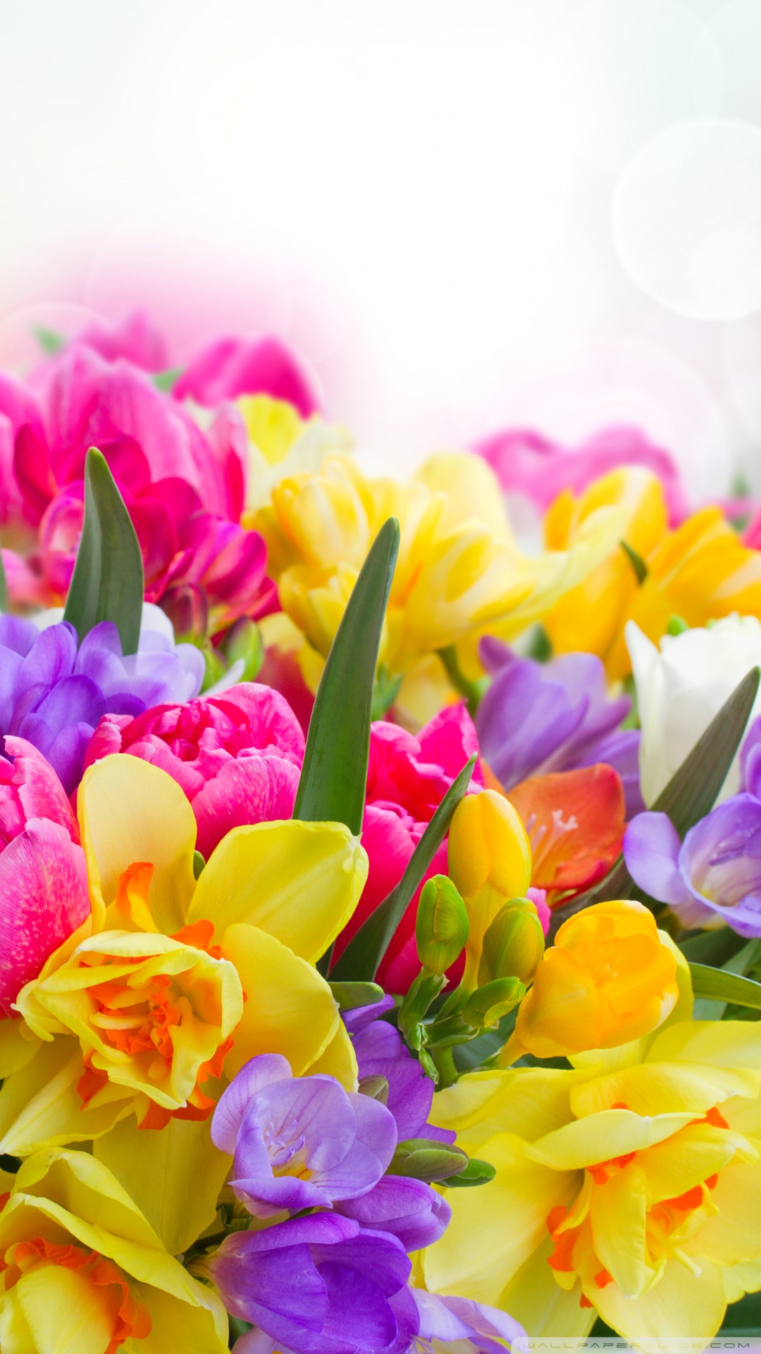 Spring Bouquets Images Wallpapers