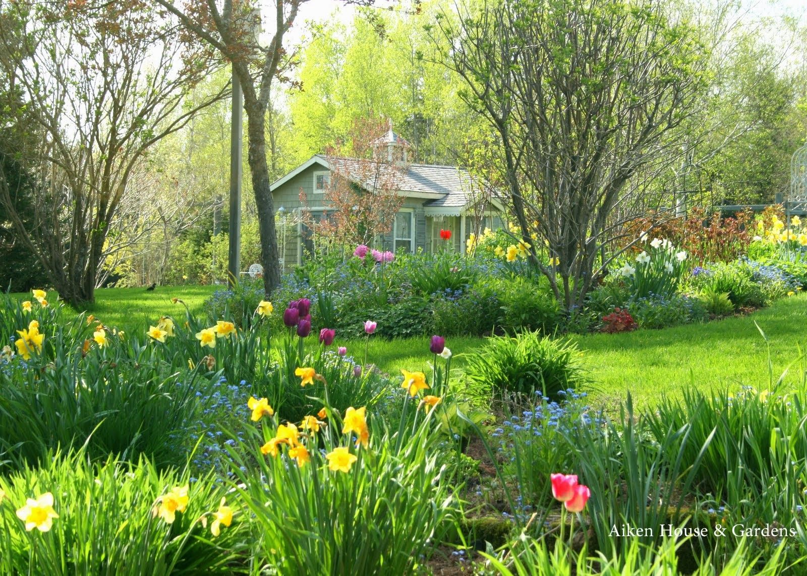 Spring Cottage Wallpapers