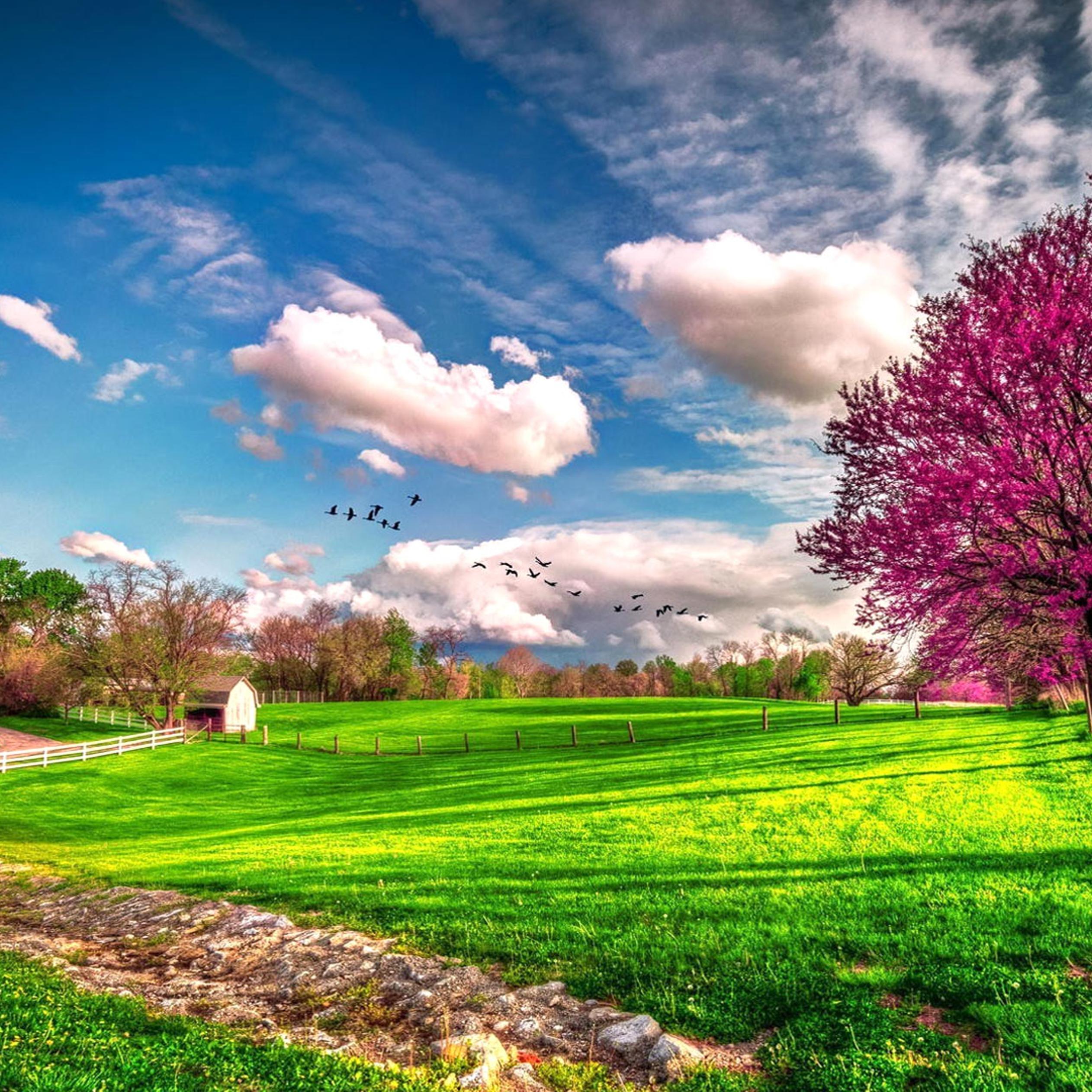 Spring Countryside Wallpapers