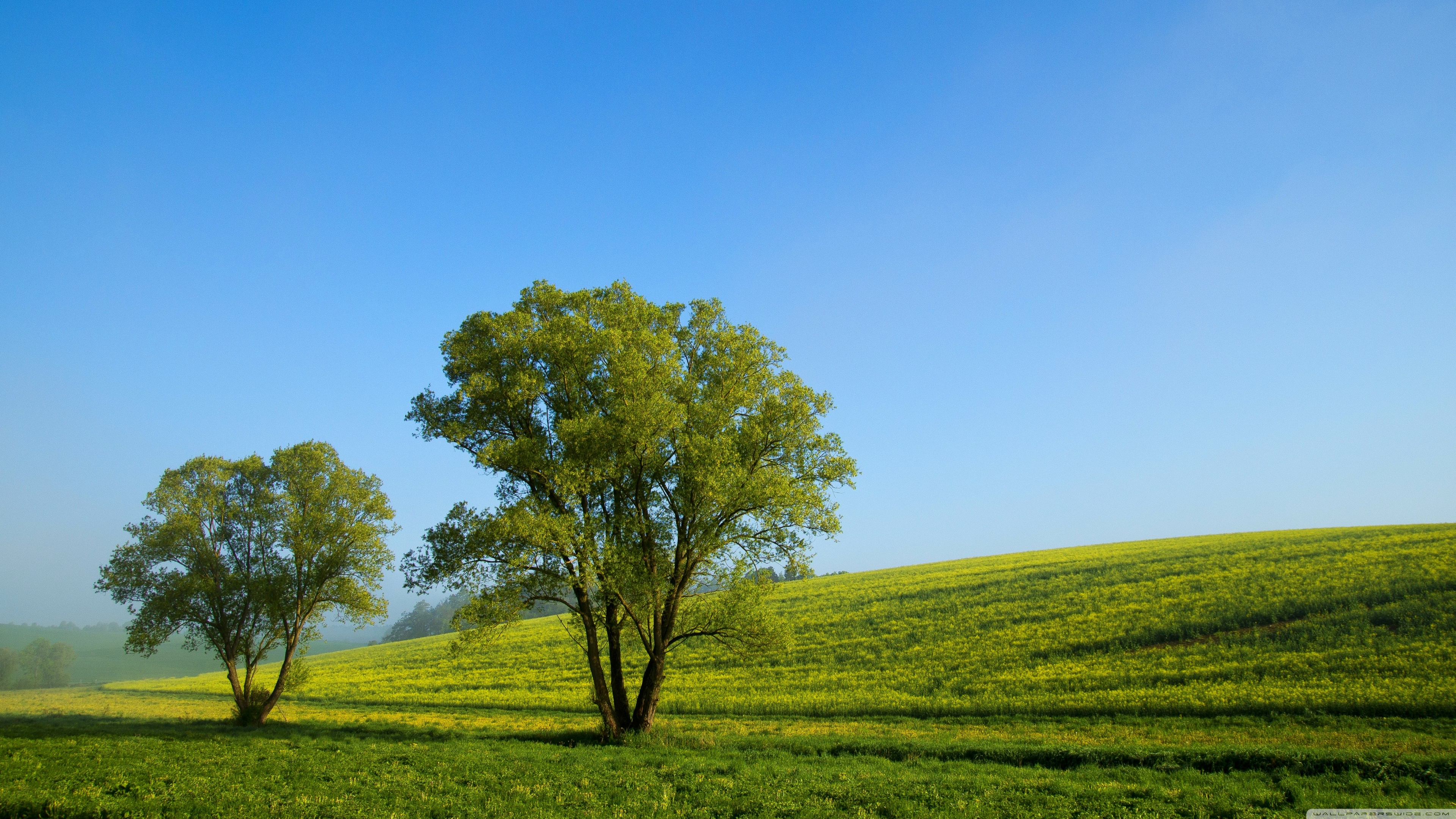 Spring Countryside Wallpapers