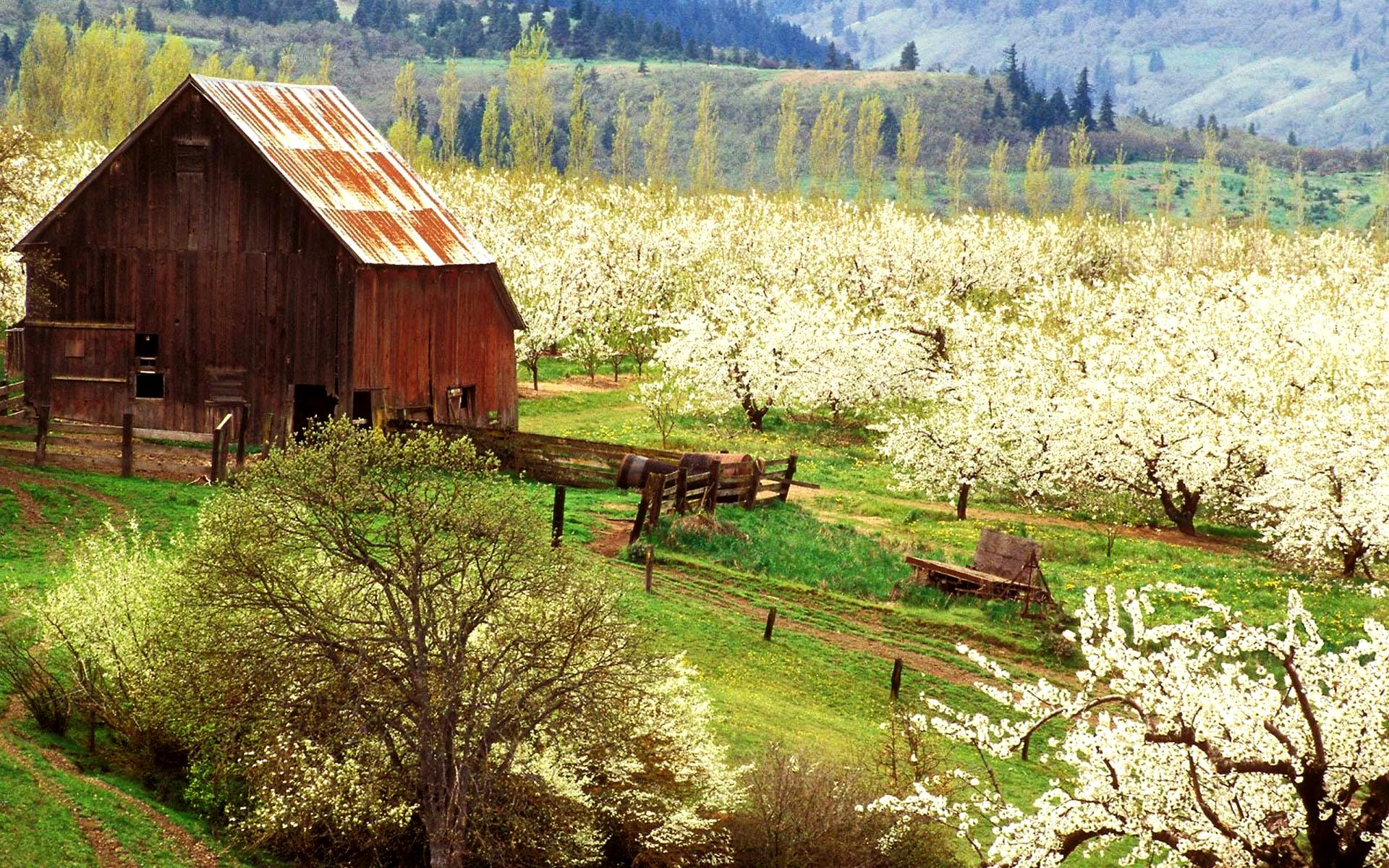 Spring Farm Wallpapers