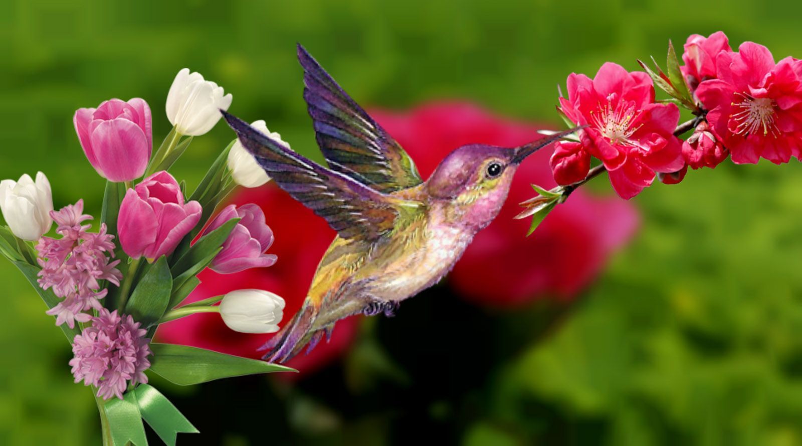 Spring Flowers And Birds Wallpapers