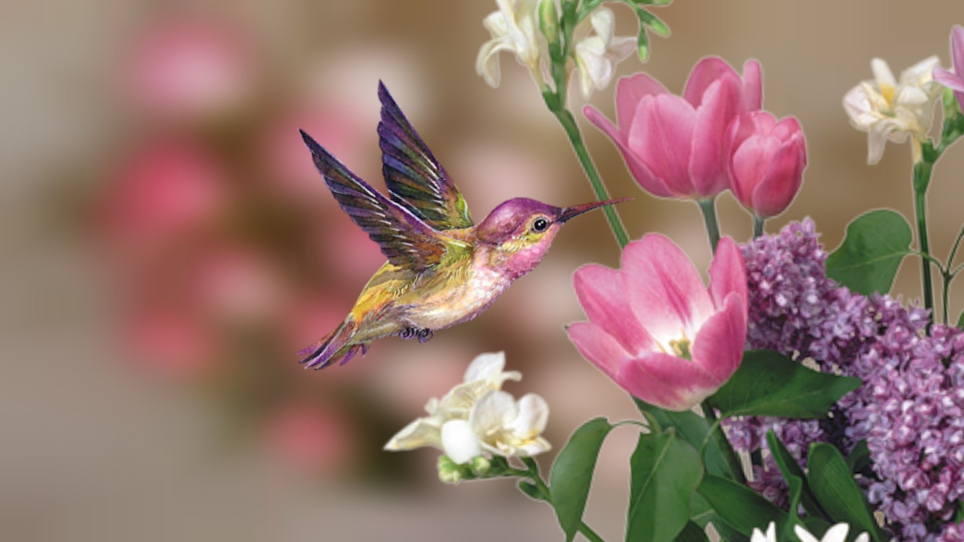 Spring Flowers And Birds Wallpapers