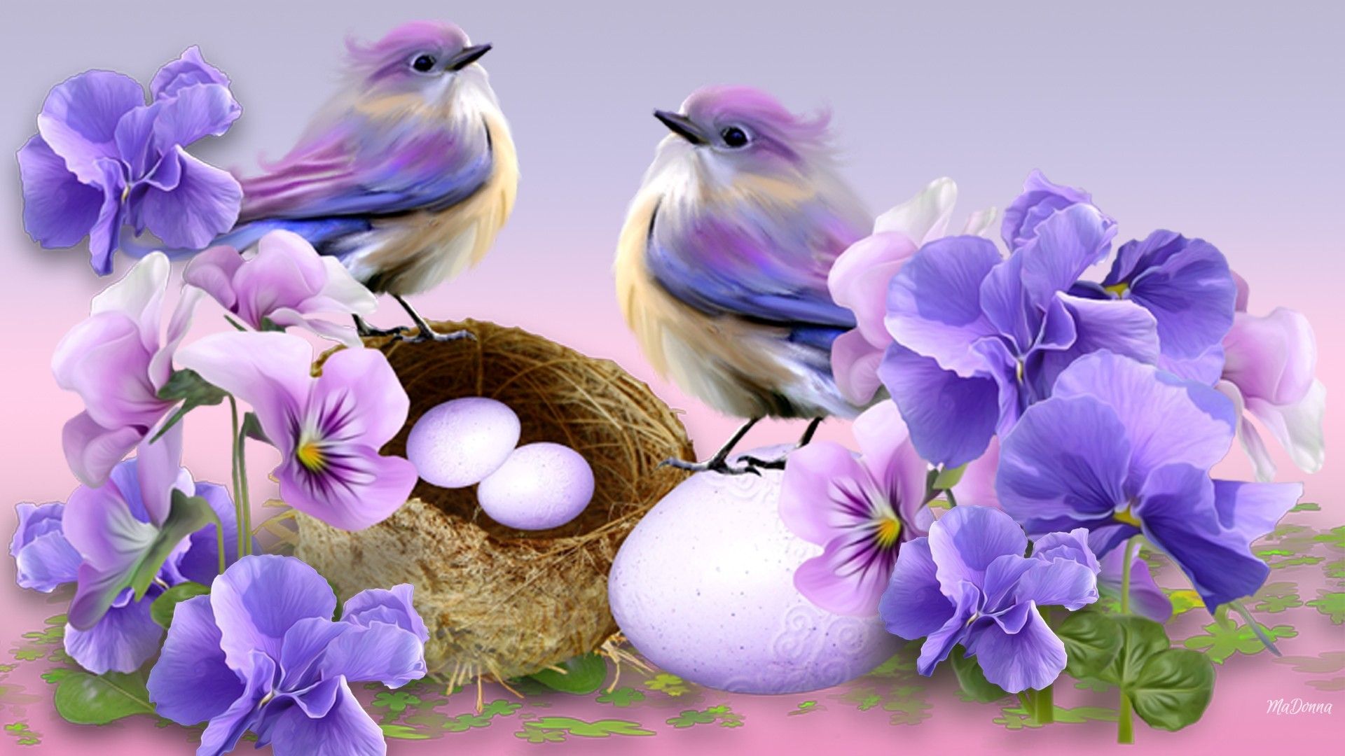 Spring Flowers And Birds Wallpapers