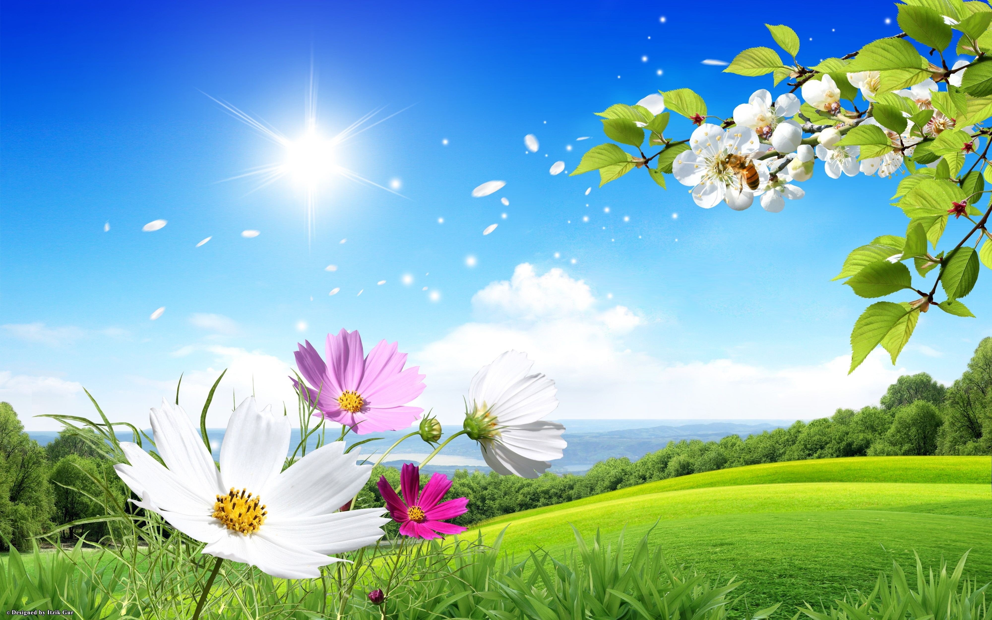 Spring Nature Wallpapers