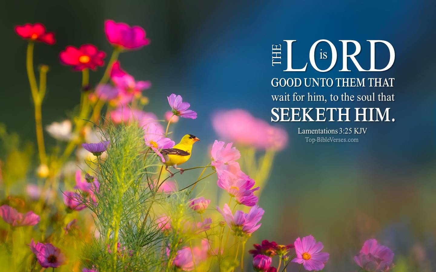 Spring Scripture Wallpapers