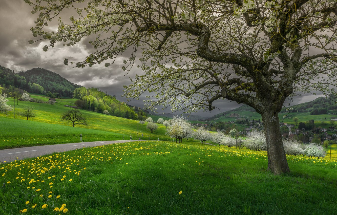 Spring Switzerland Wallpapers