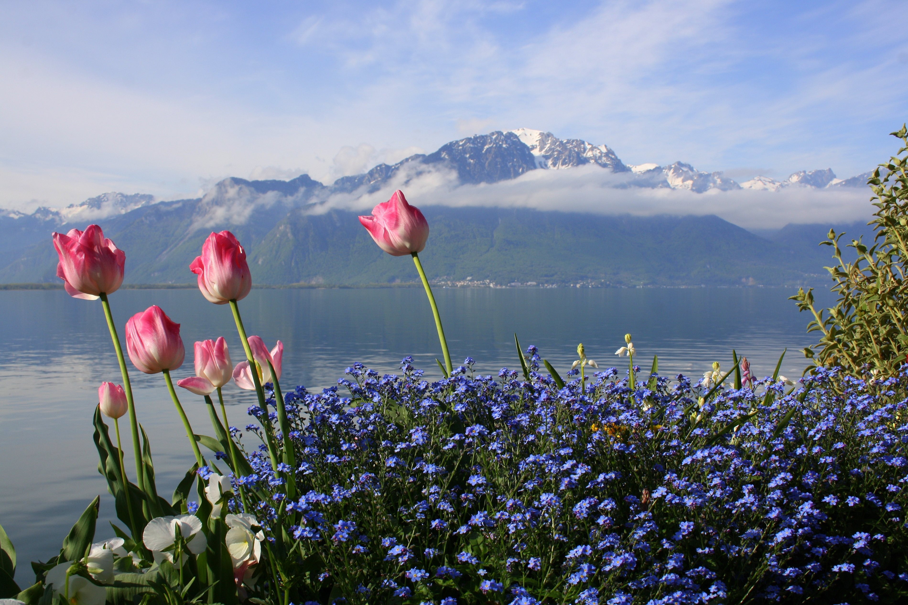 Spring Switzerland Wallpapers