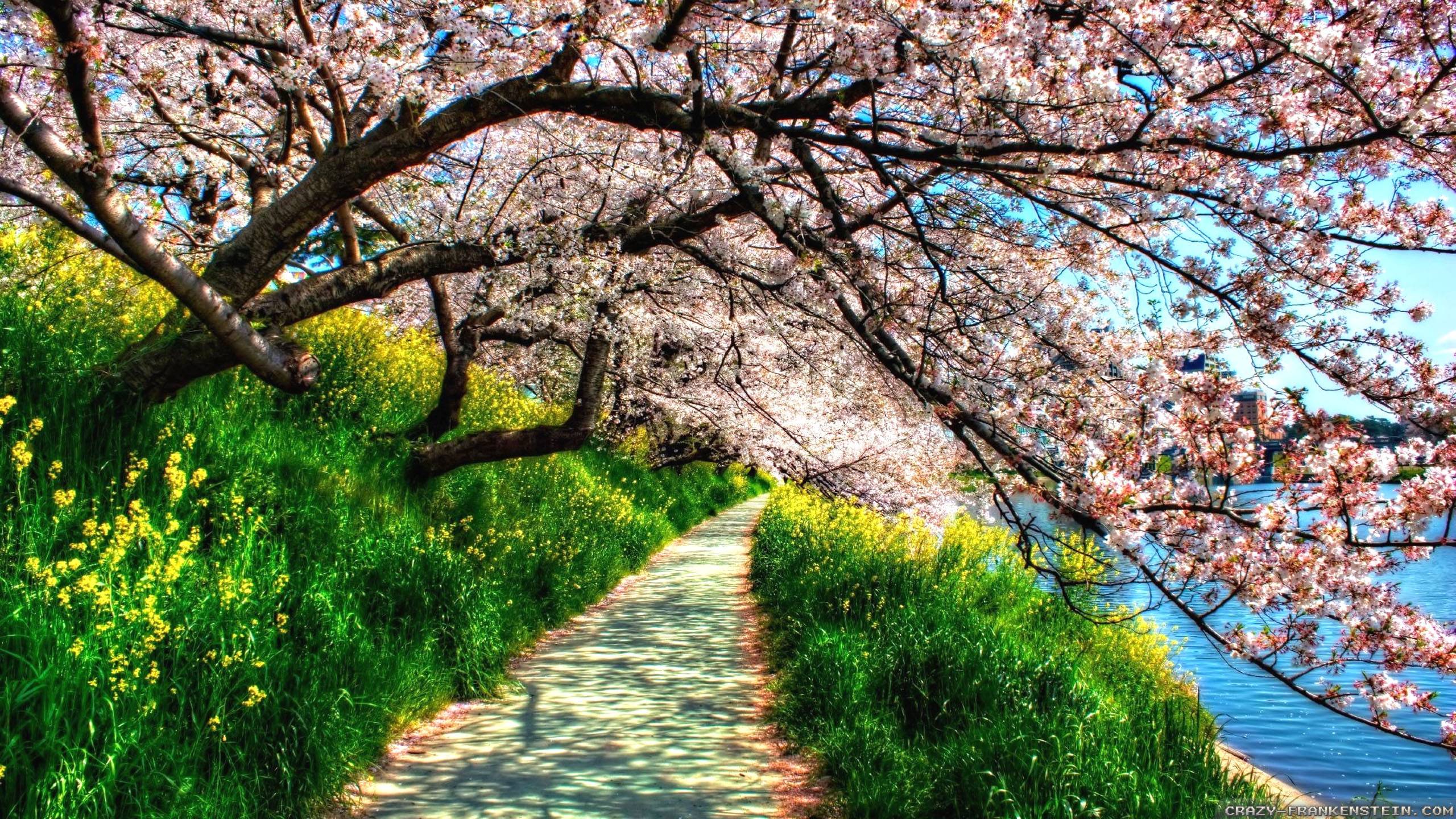 Spring Hd Wallpapers