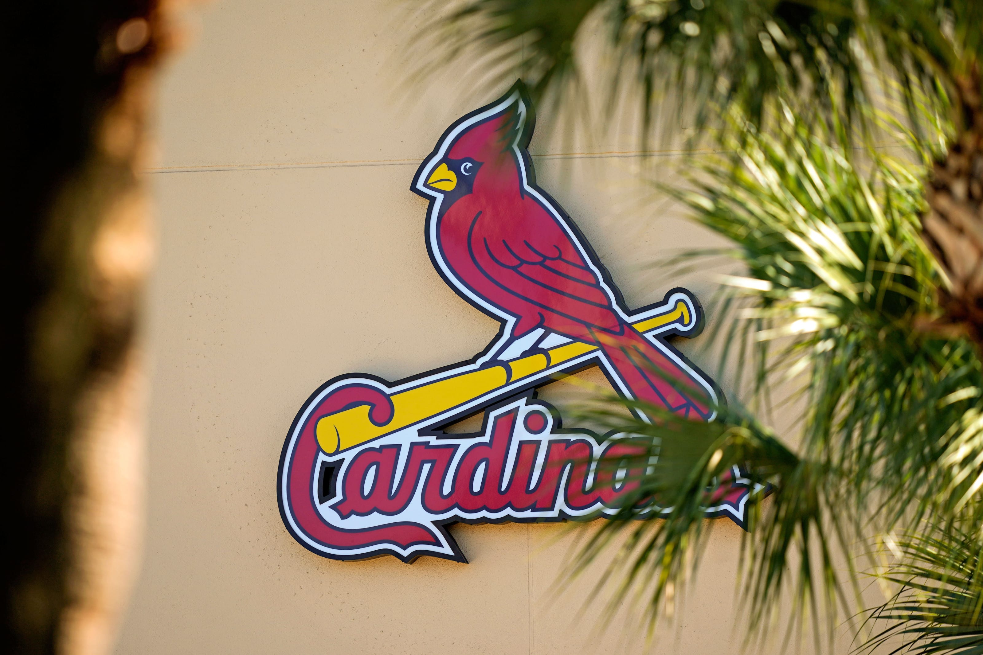 St Louis Cardinals For Android Wallpapers