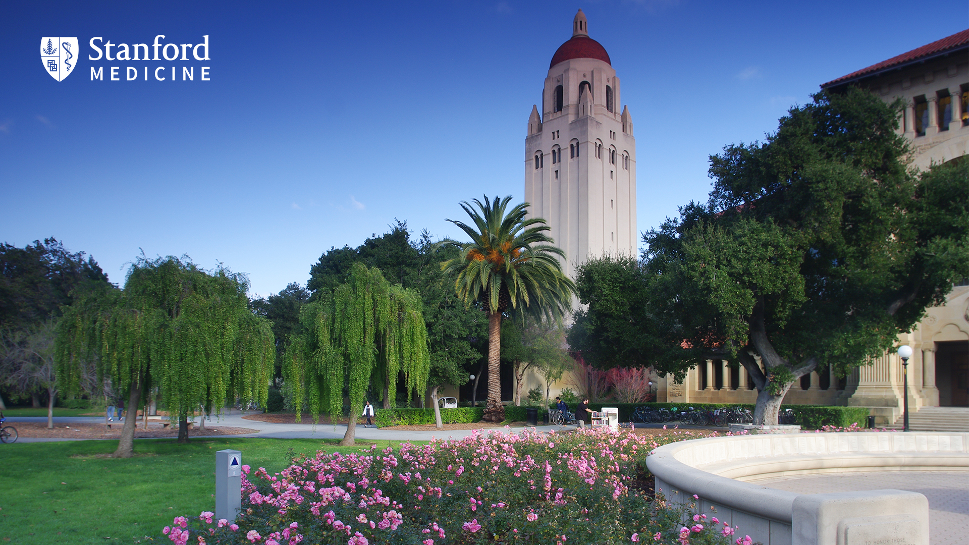 Stanford Wallpapers