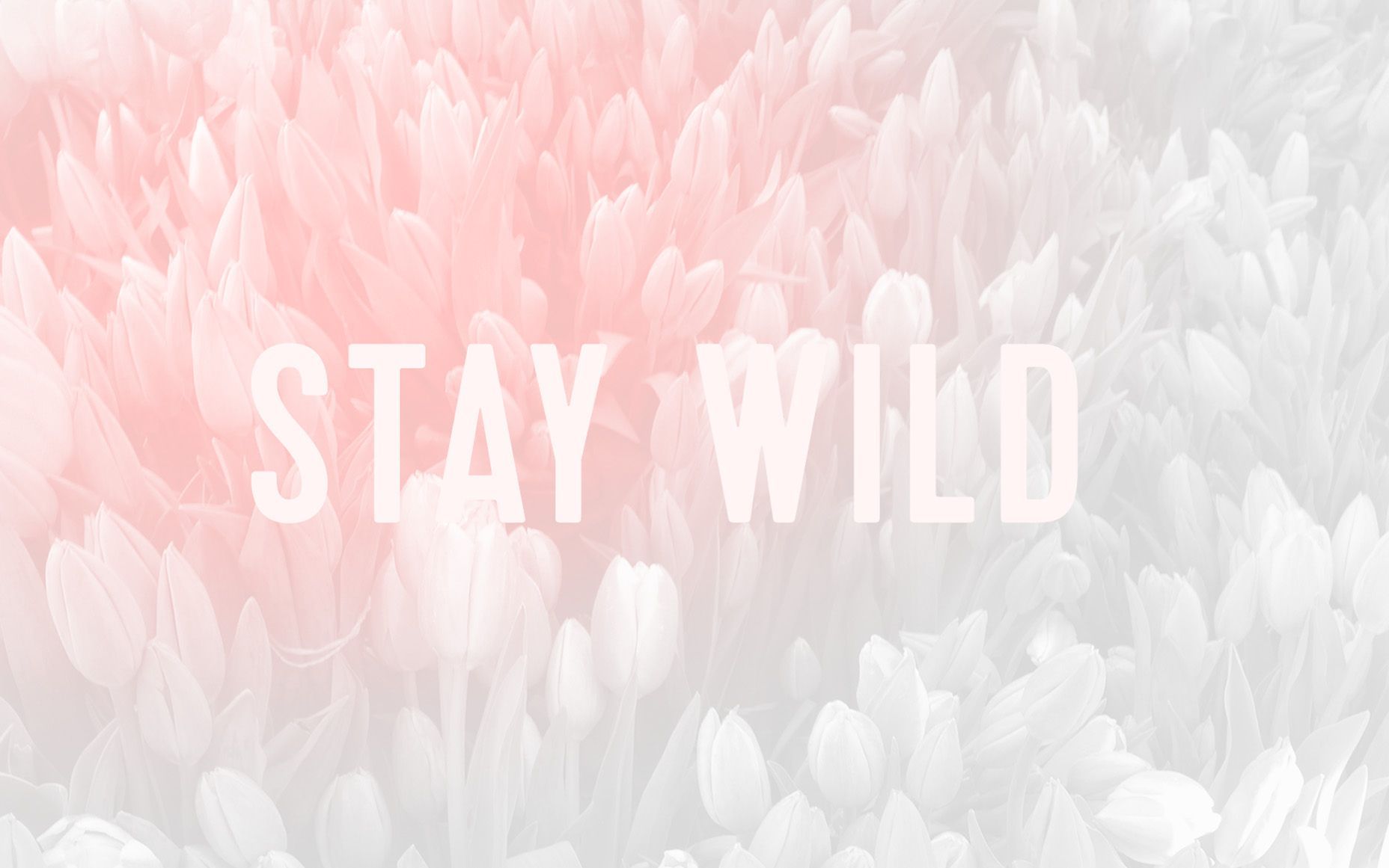 Stay Wild Wallpapers
