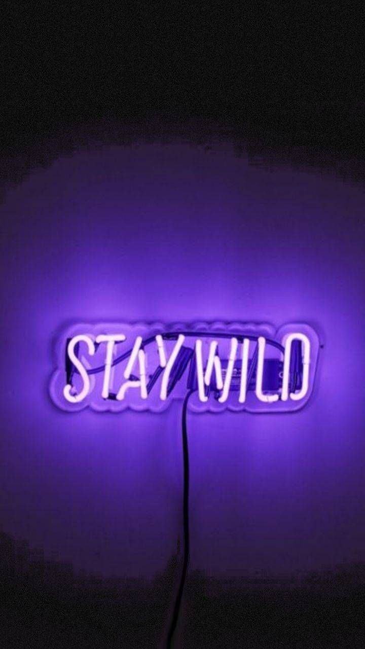 Stay Wild Wallpapers