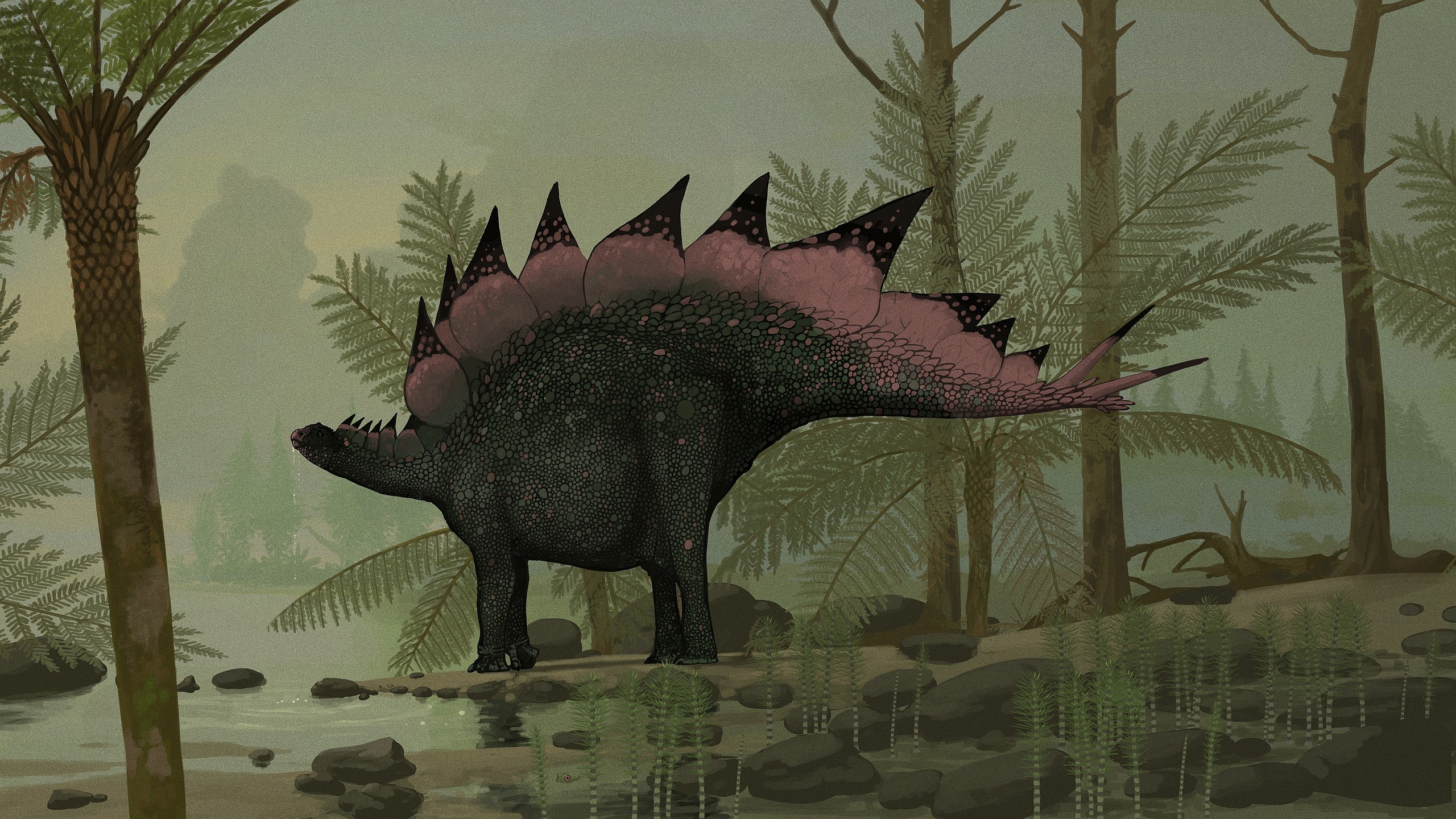 Stegosaurus Wallpapers