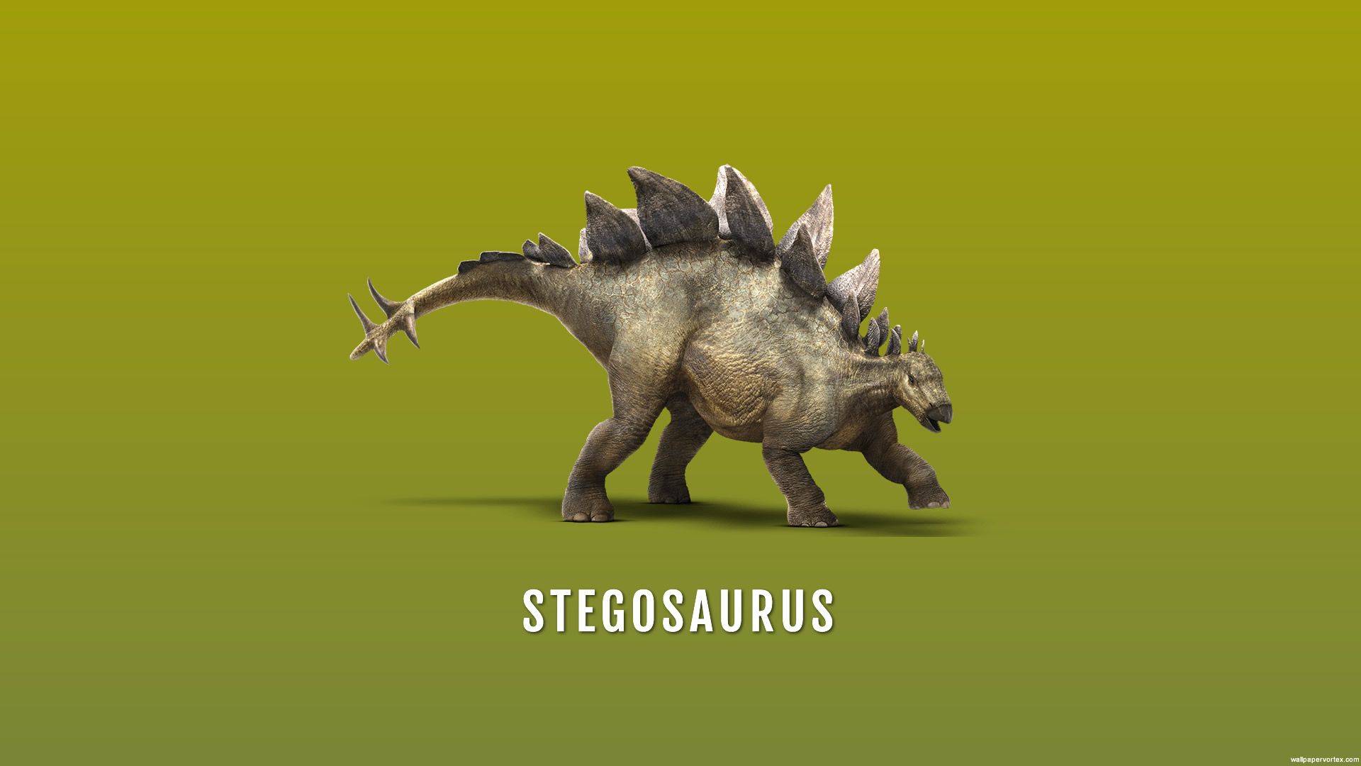 Stegosaurus Wallpapers