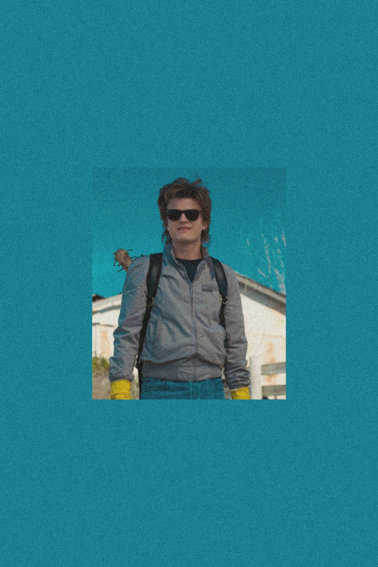 Steve Harrington Wallpapers