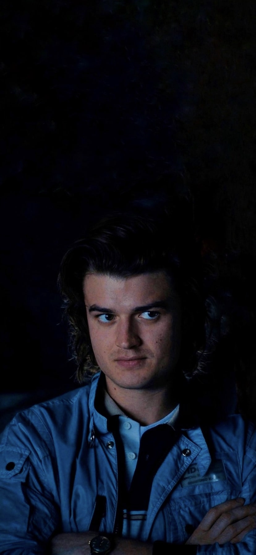 Steve Harrington Wallpapers