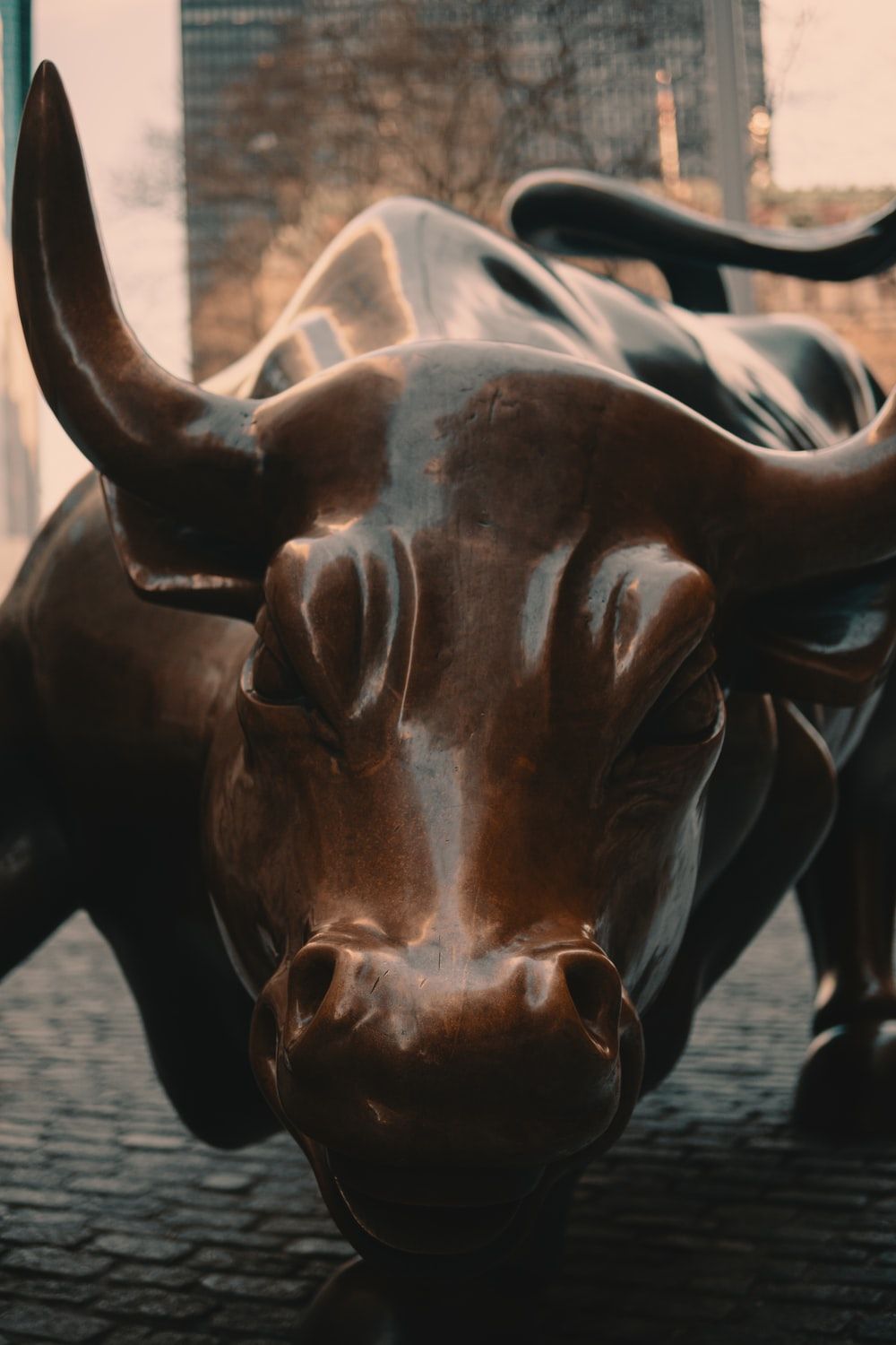 Stock Market Bull And Bear Wallpapers