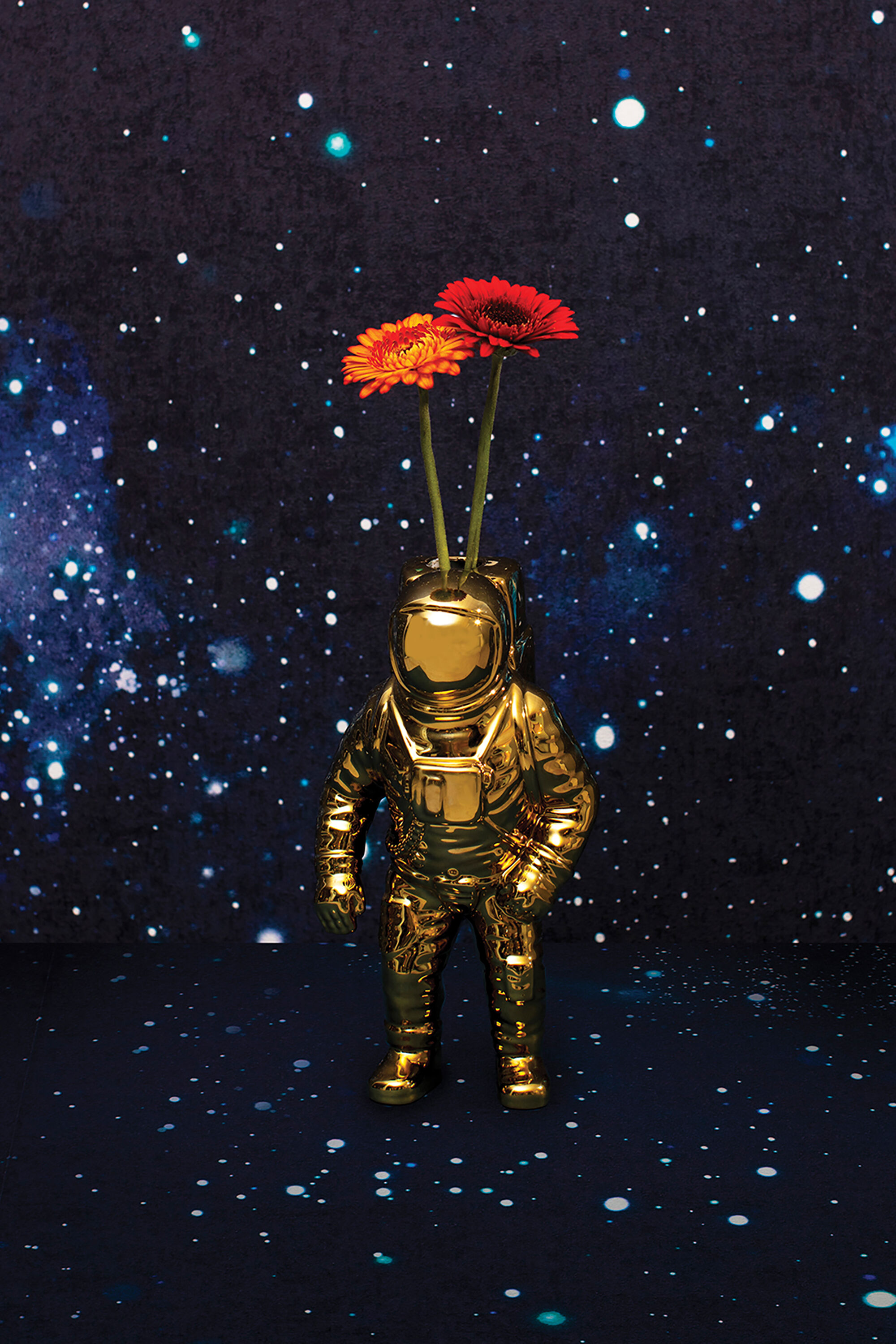 Stoner Astronaut Wallpapers