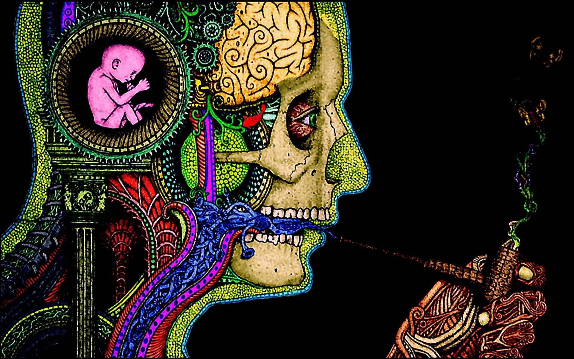 Stoner Trippy Mushroom Wallpapers