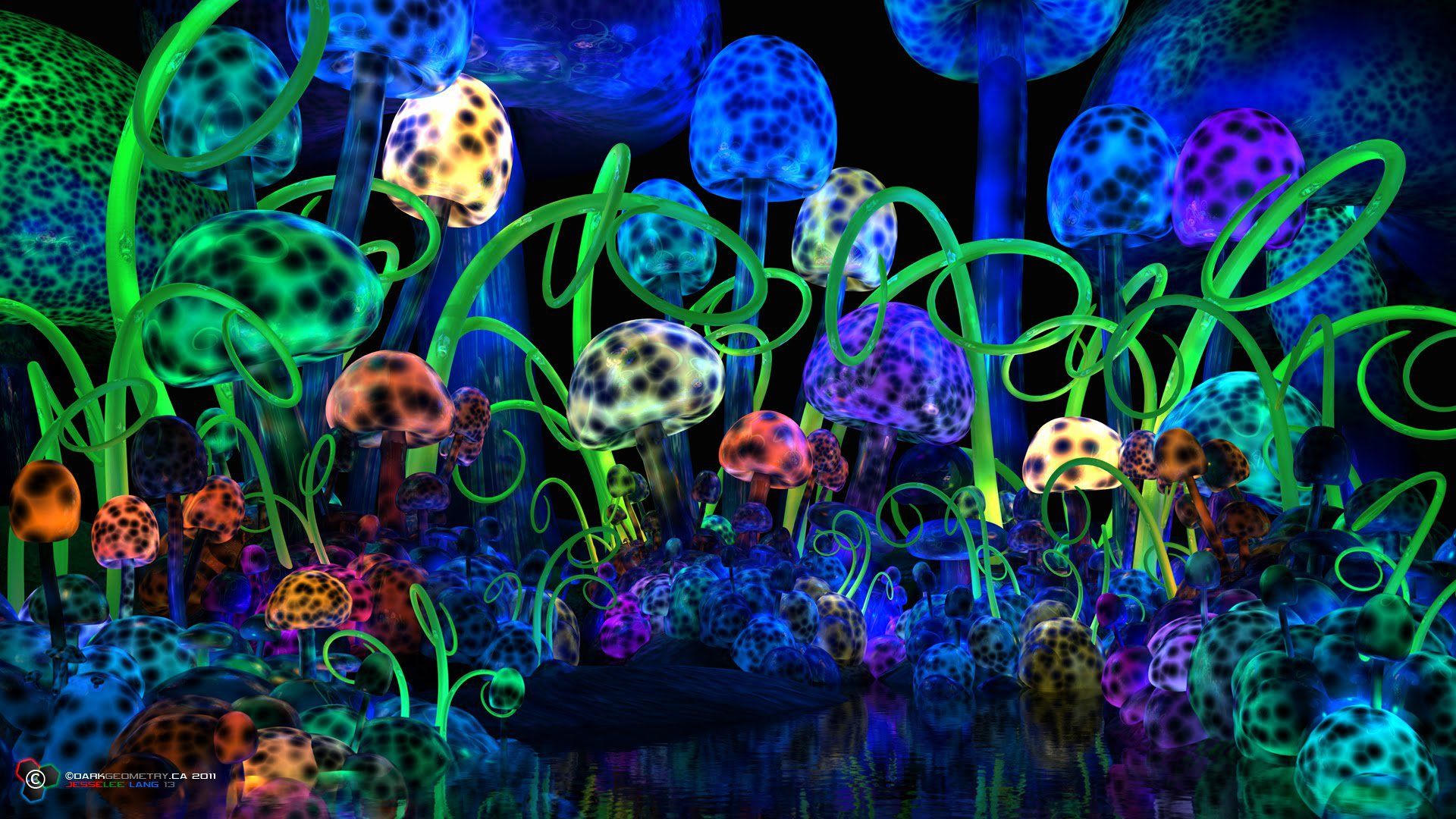 Stoner Trippy Mushroom Wallpapers