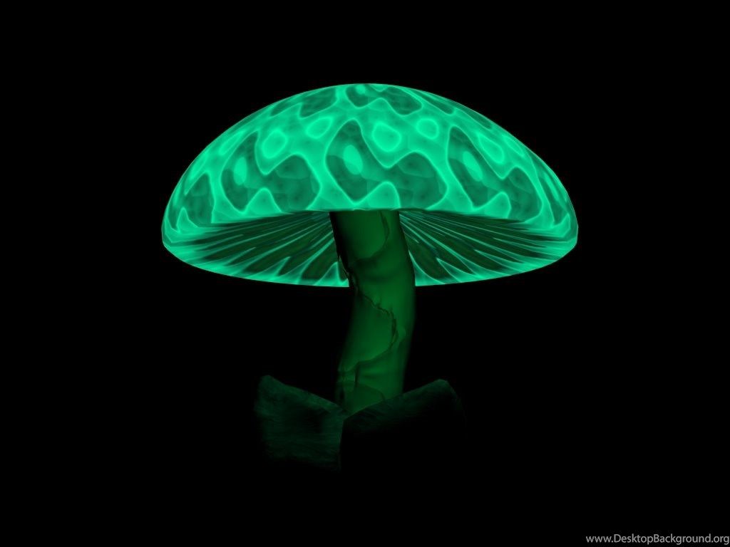 Stoner Trippy Mushroom Wallpapers