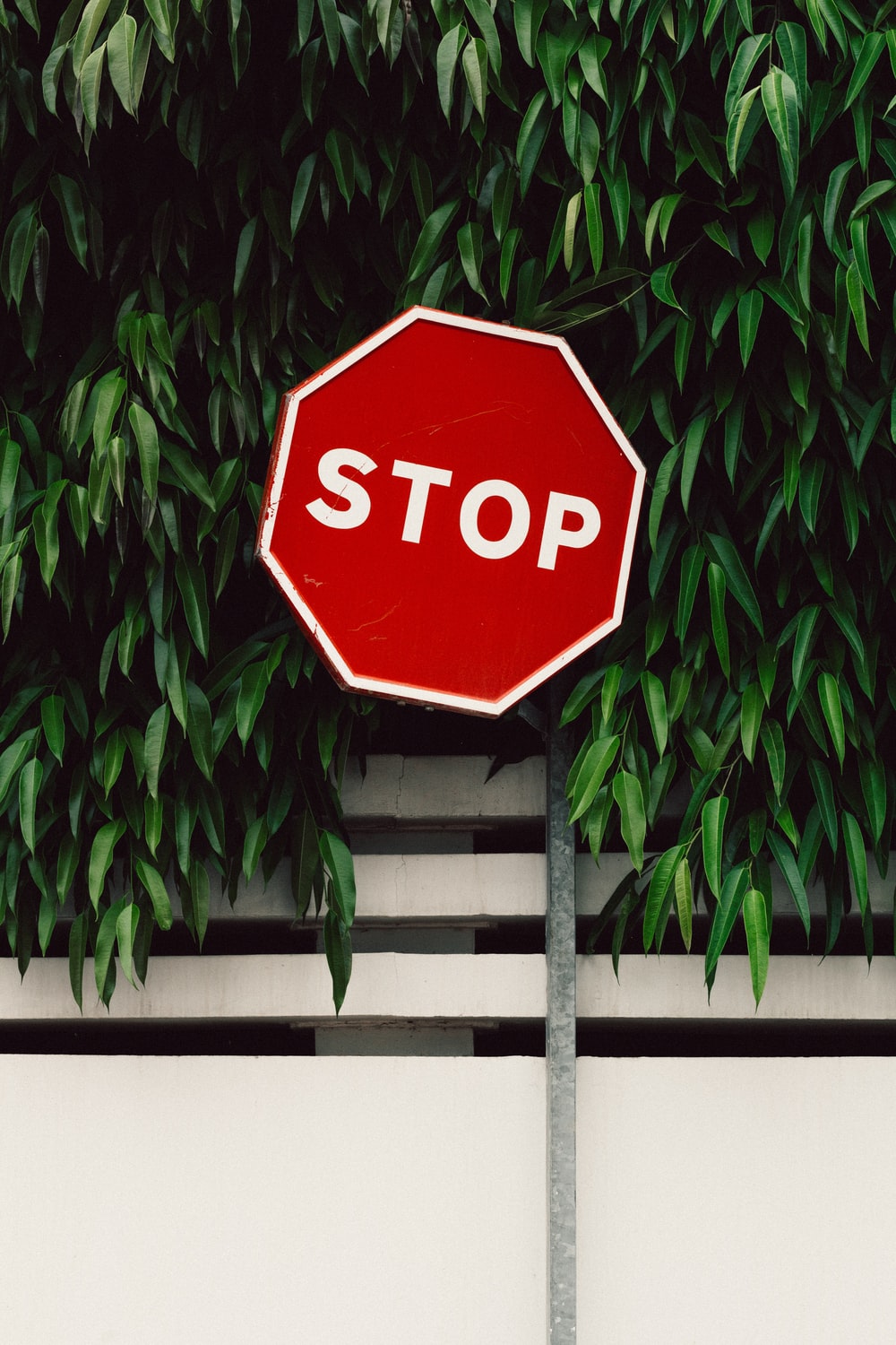 Stop Sign Wallpapers