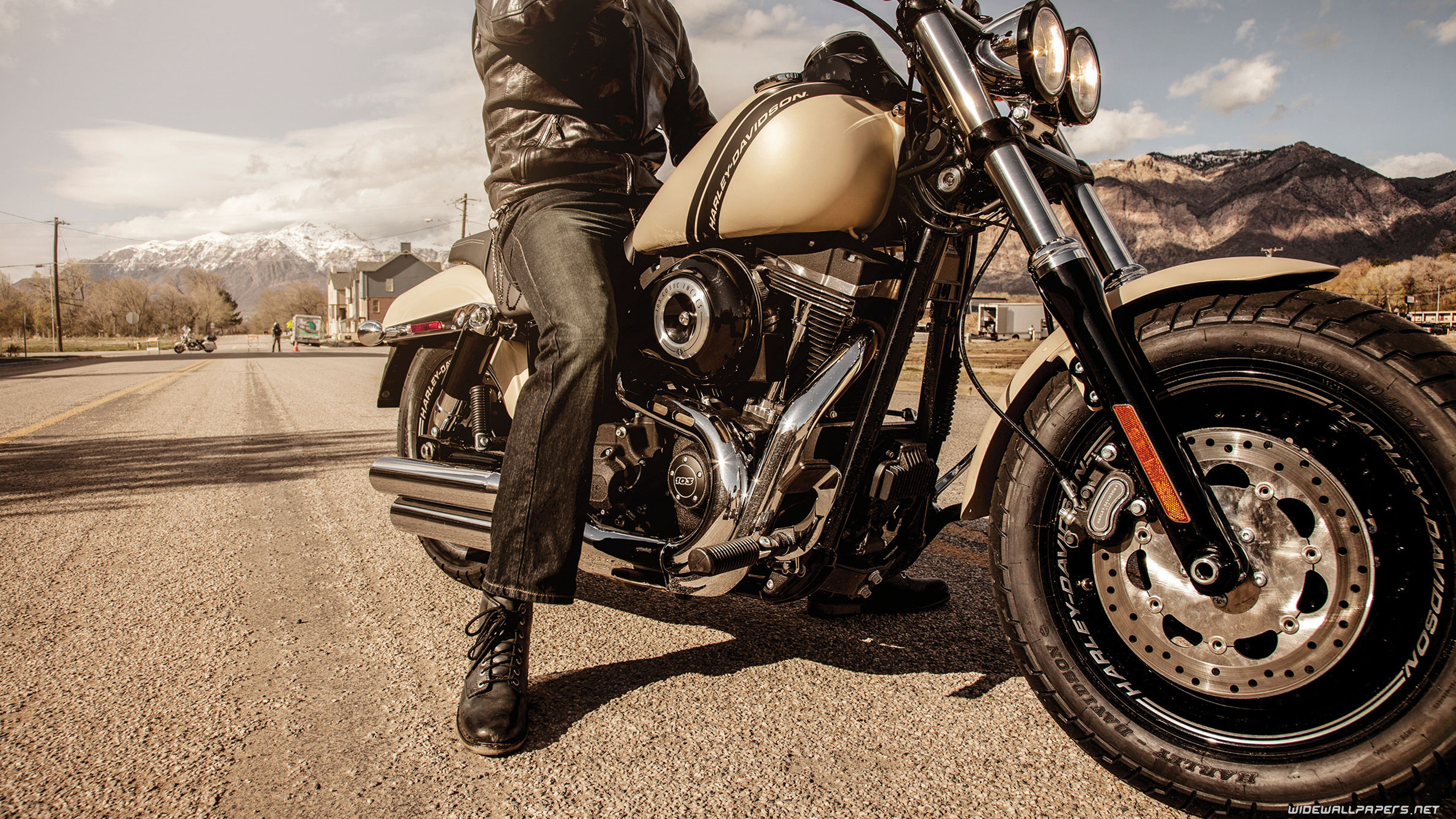 Street Bob Wallpapers