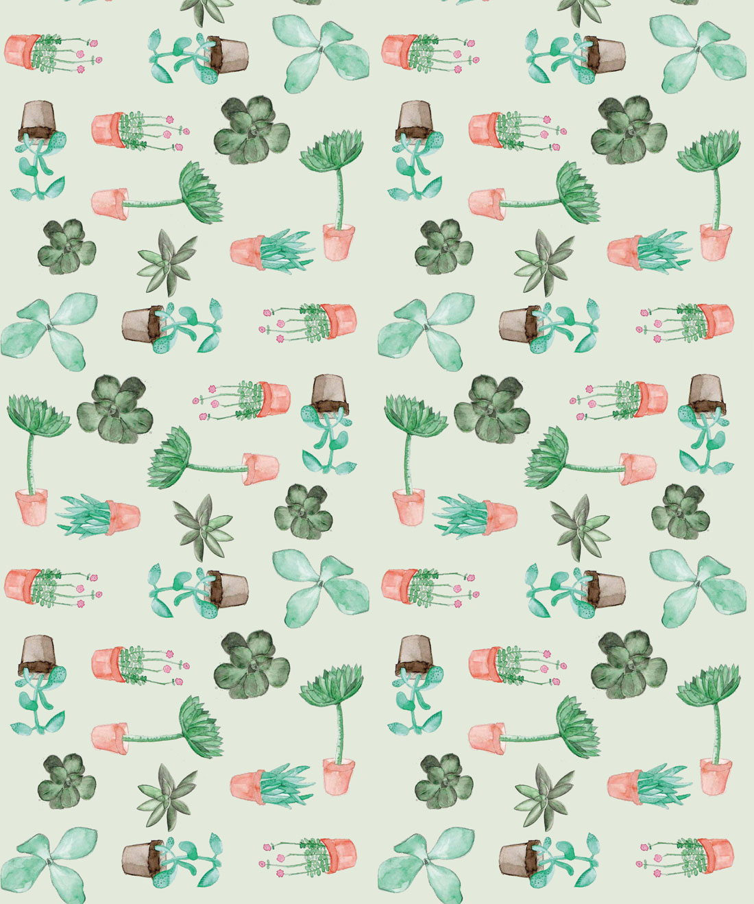 Succulent Wallpapers