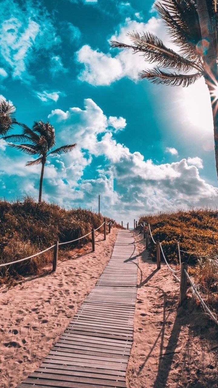 Summer Beach Aesthetic Wallpapers