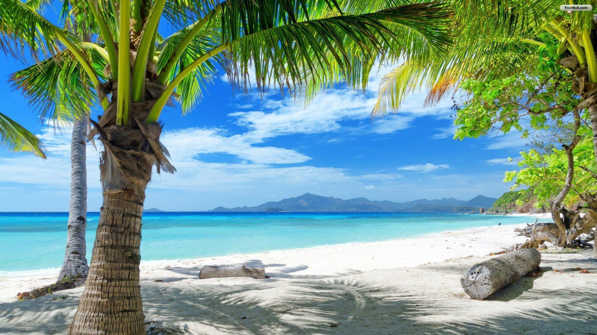 Summer Beach Paradise Wallpapers