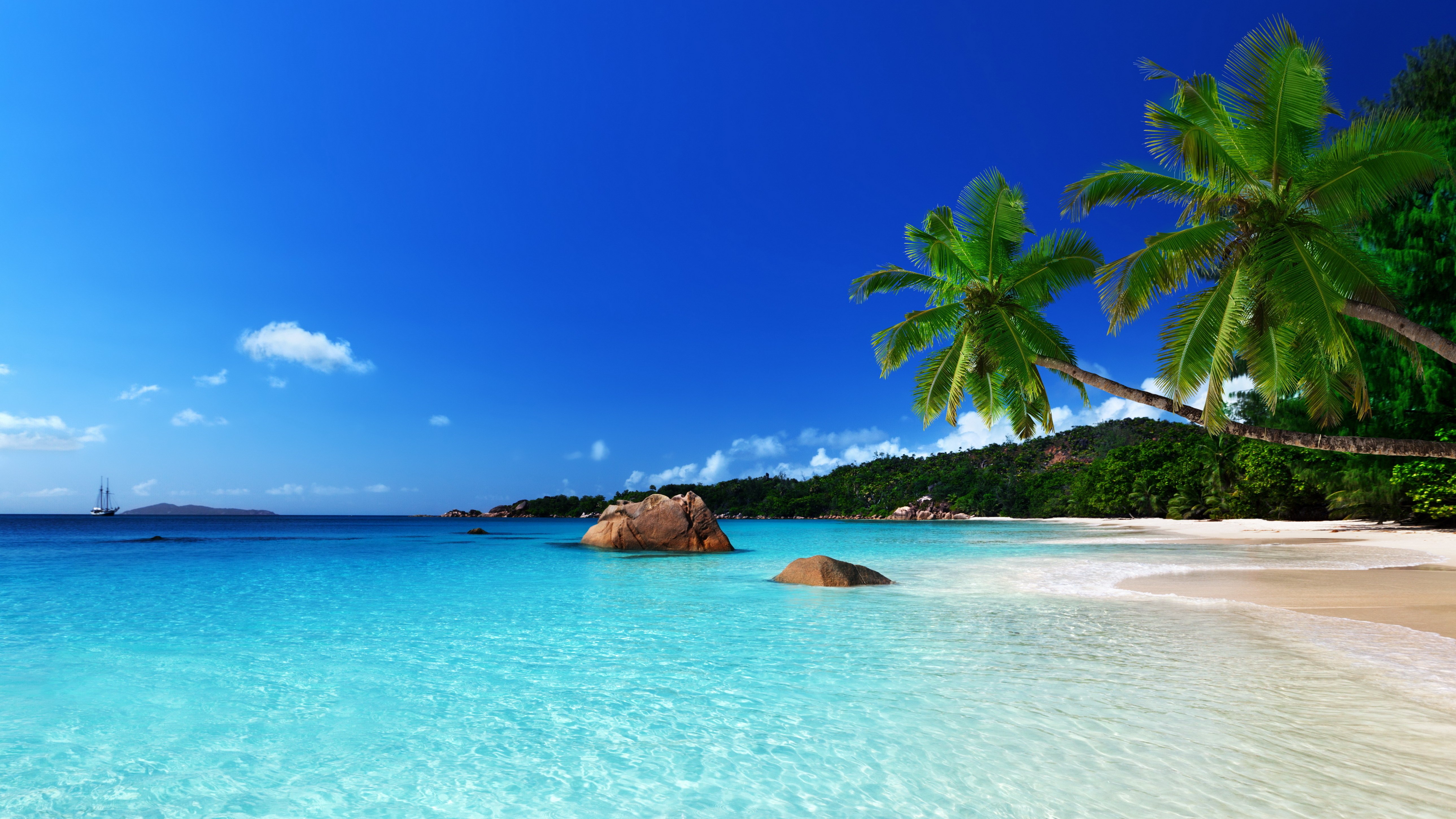 Summer Beach Paradise Wallpapers