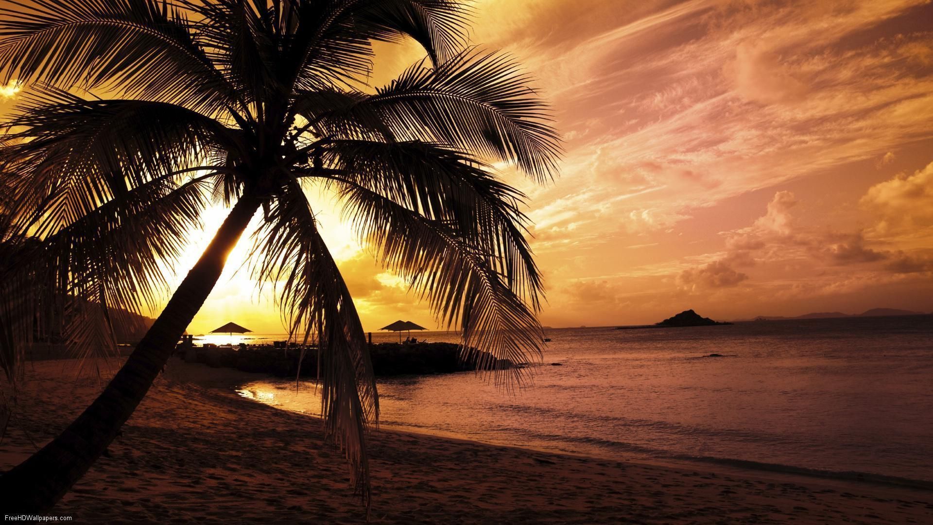 Summer Beach Paradise Wallpapers