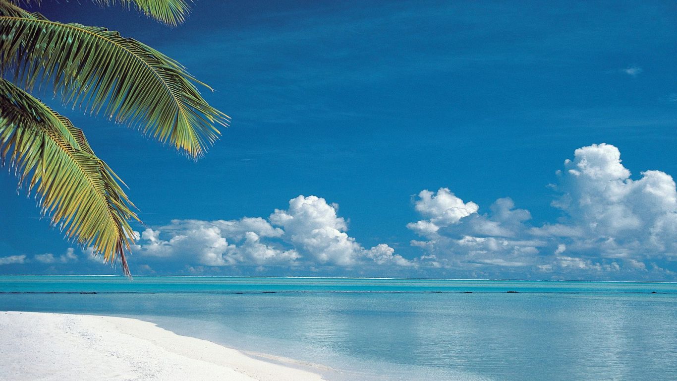 Summer Beach Paradise Wallpapers