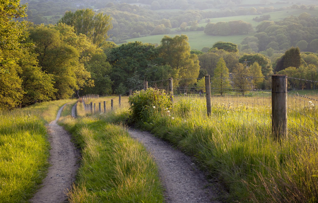 Summer Landscape Wallpapers