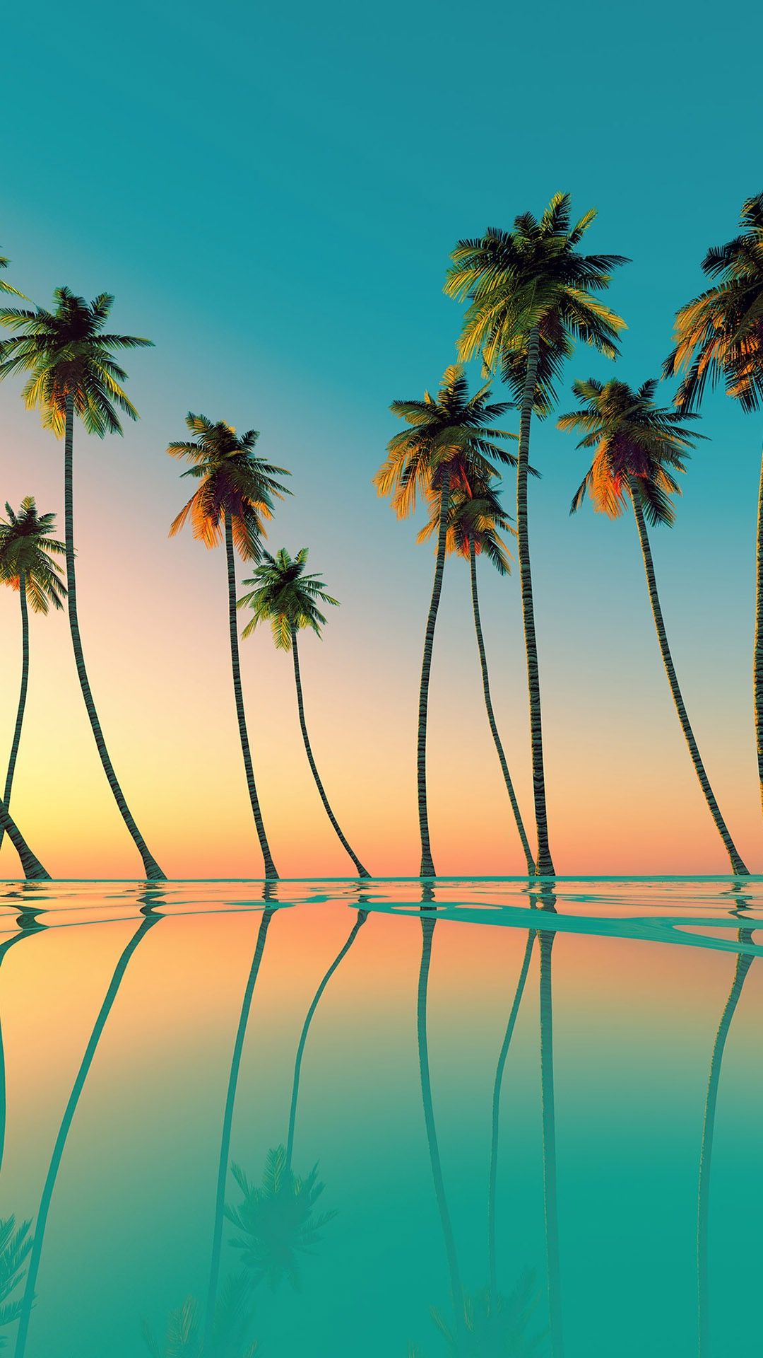 Summer Palm Trees Wallpapers