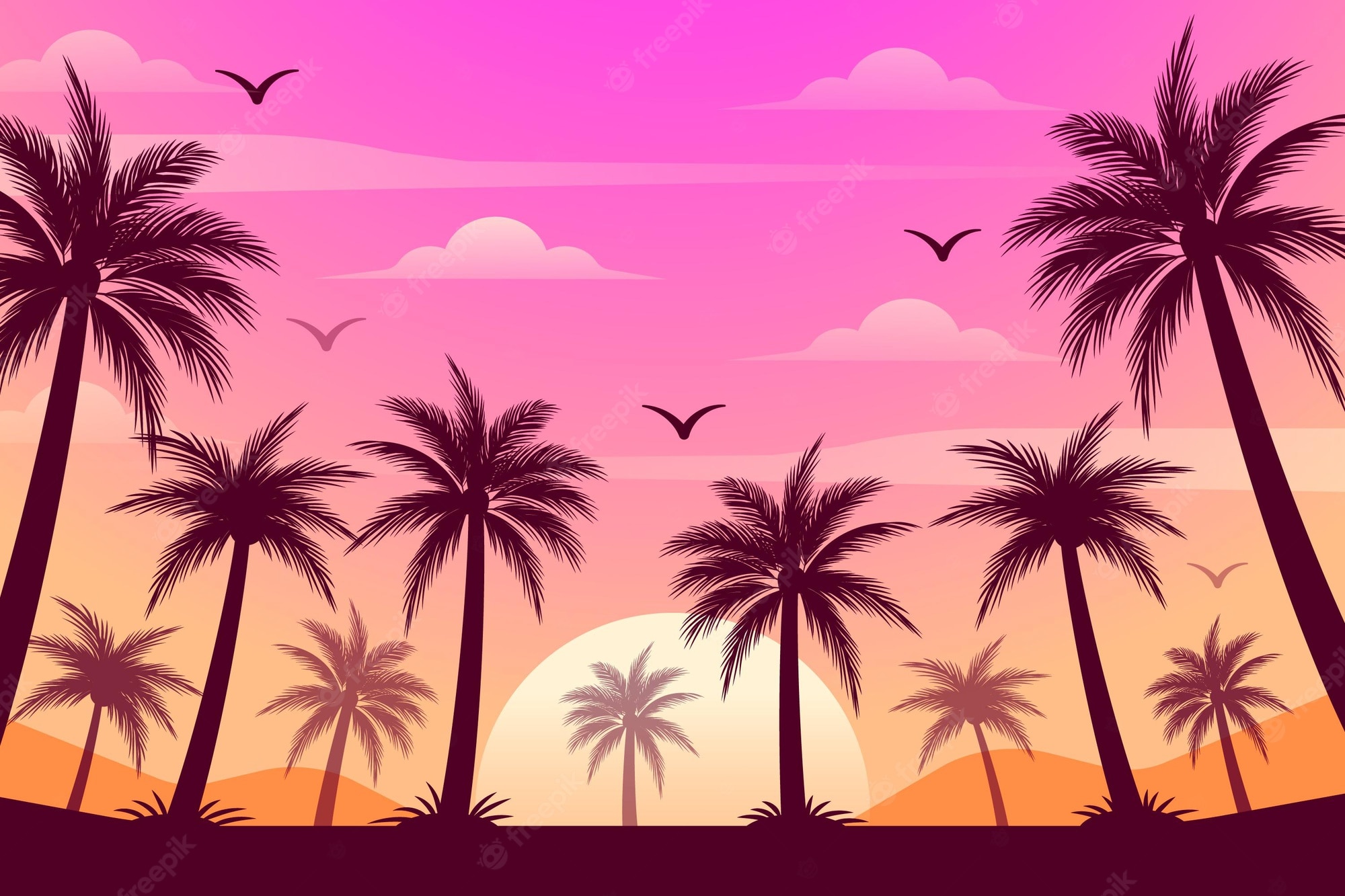 Summer Palm Trees Wallpapers