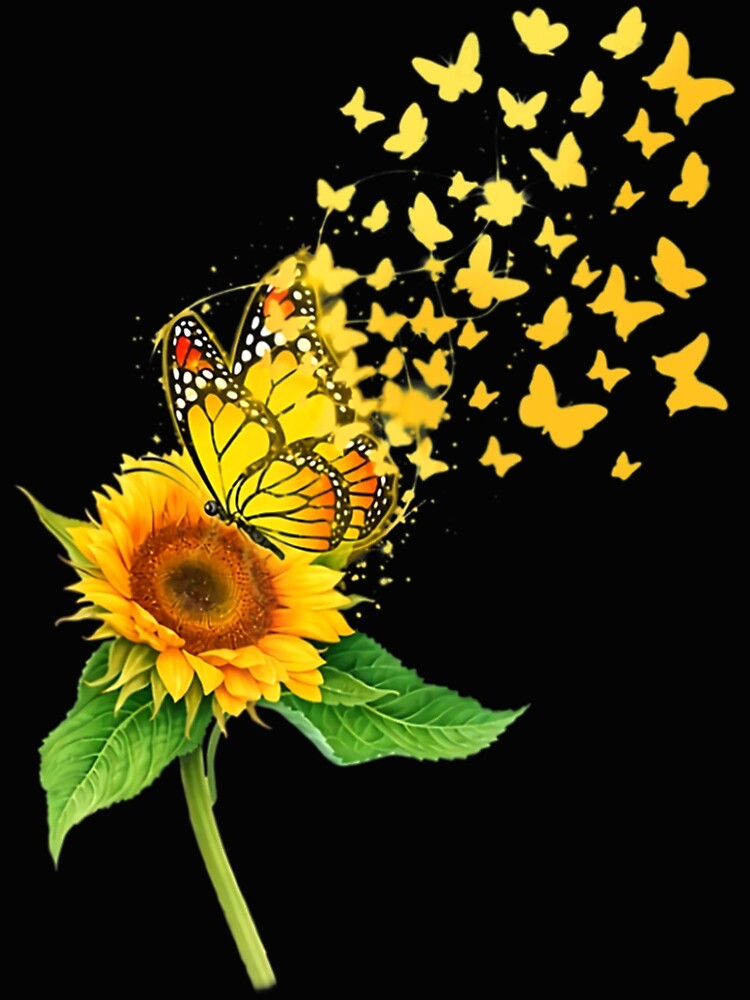 Sunflower And Butterfly Wallpapers