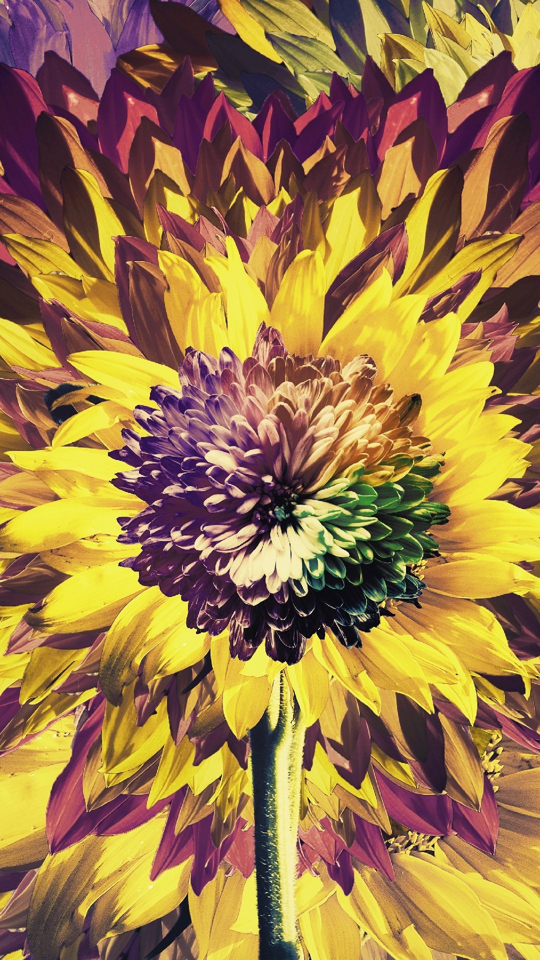 Sunflower Art Wallpapers