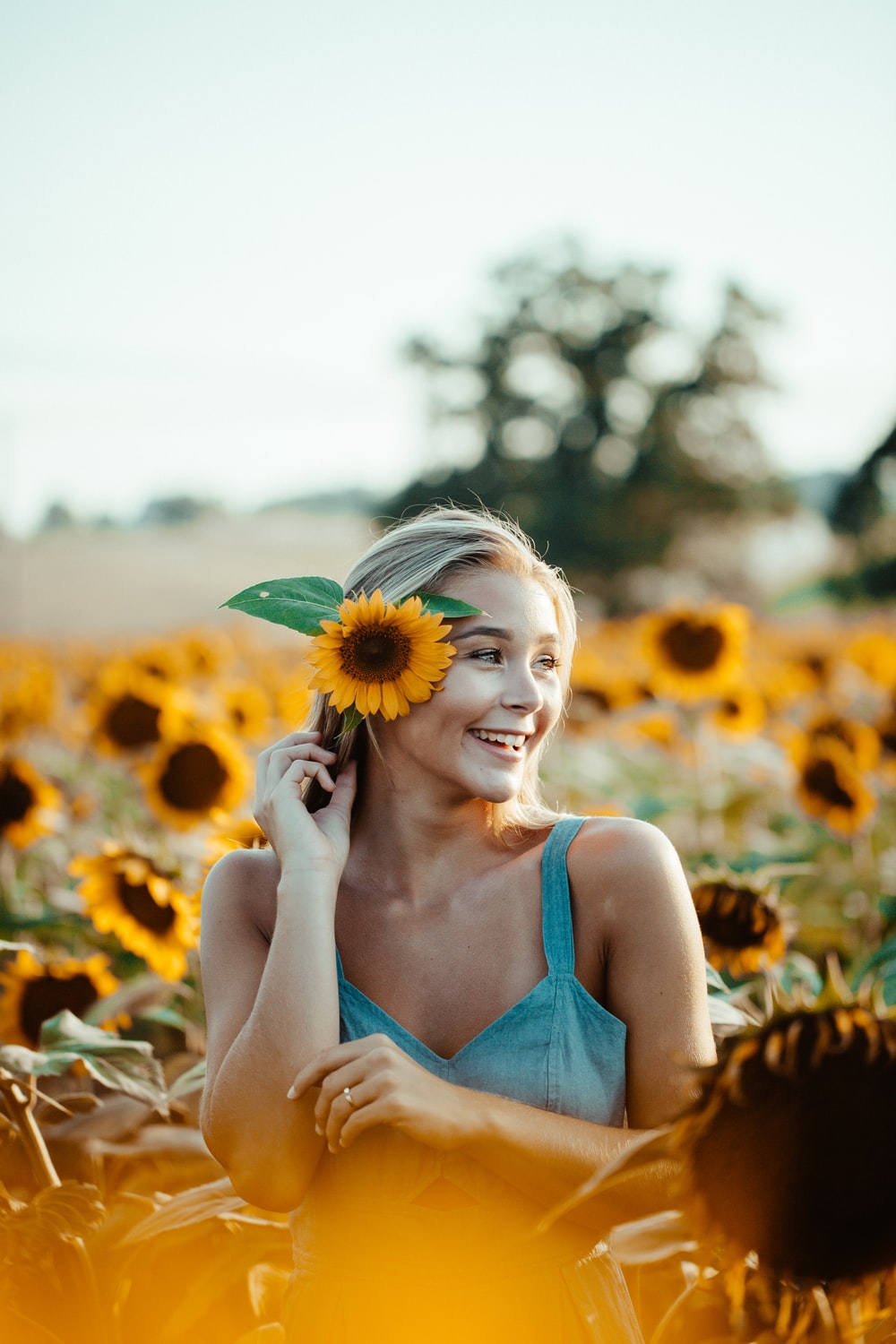 Sunflower Girl Wallpapers