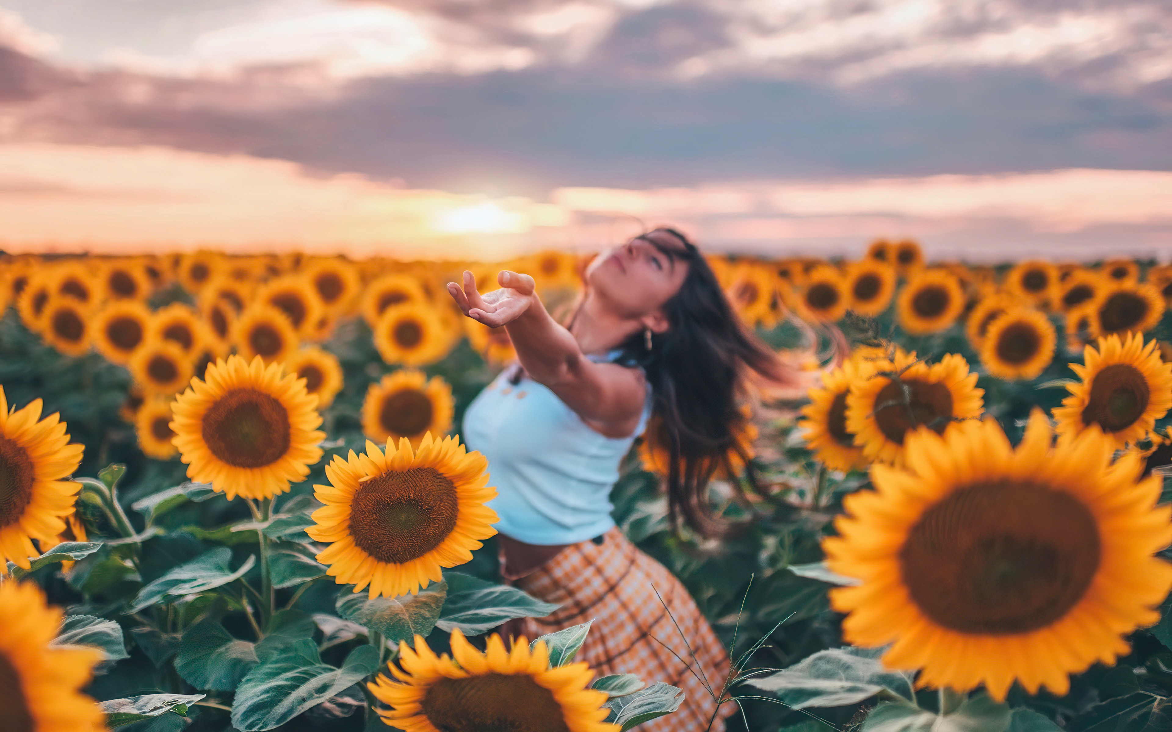 Sunflower Girl Wallpapers