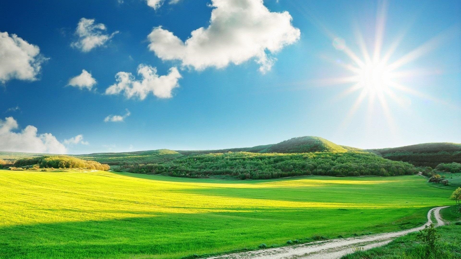 Sunny Day Wallpapers