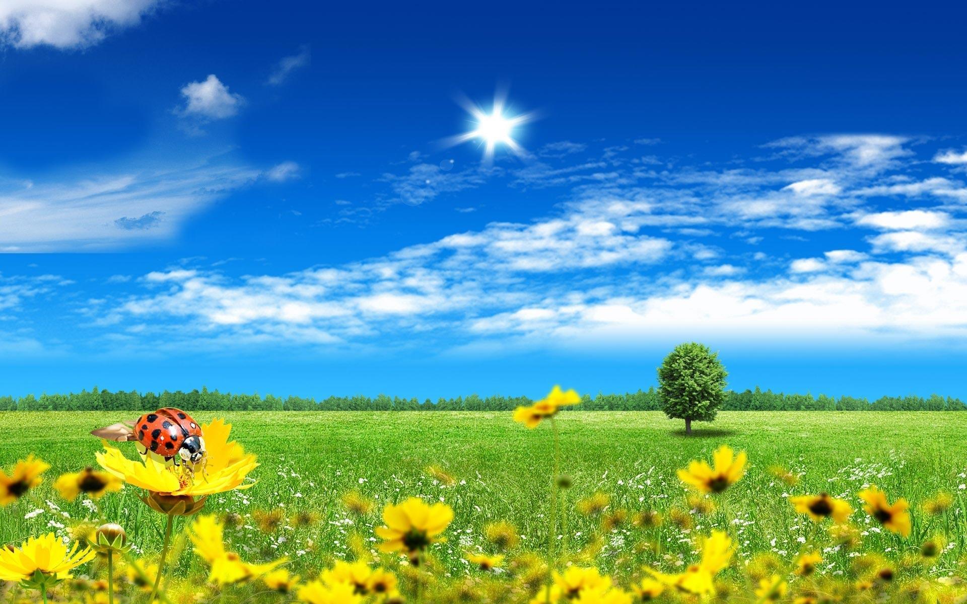 Sunny Day Wallpapers