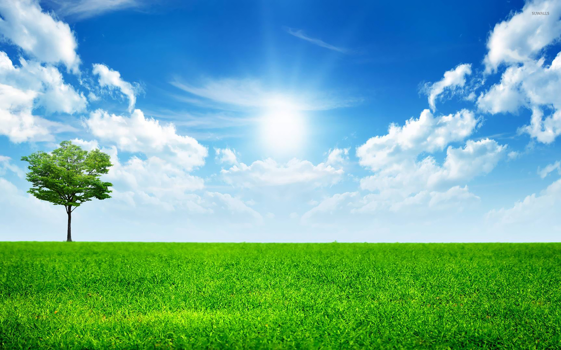 Sunny Nature Wallpapers